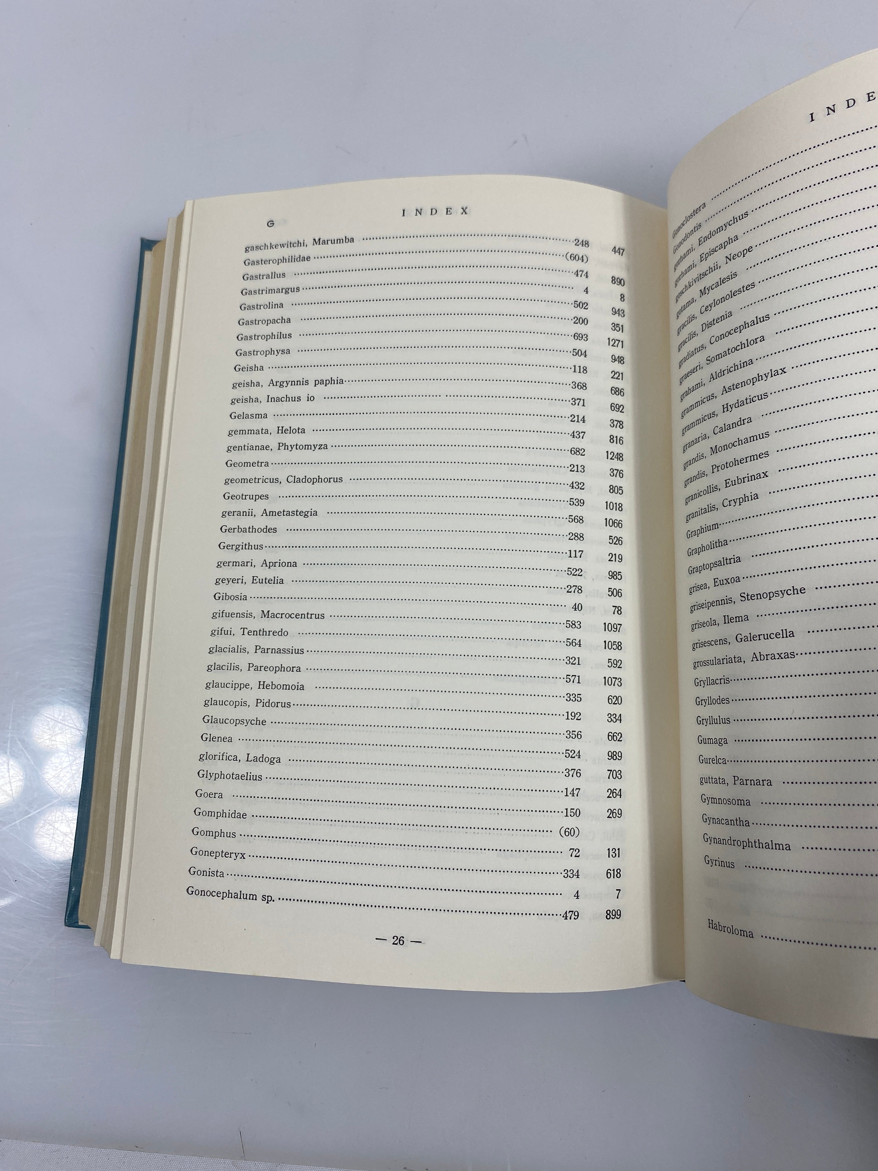 Illustrated Insect Larvae of Japan Ex-library HC
