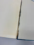 Illustrated Insect Larvae of Japan Ex-library HC