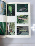 Illustrated Insect Larvae of Japan Ex-library HC