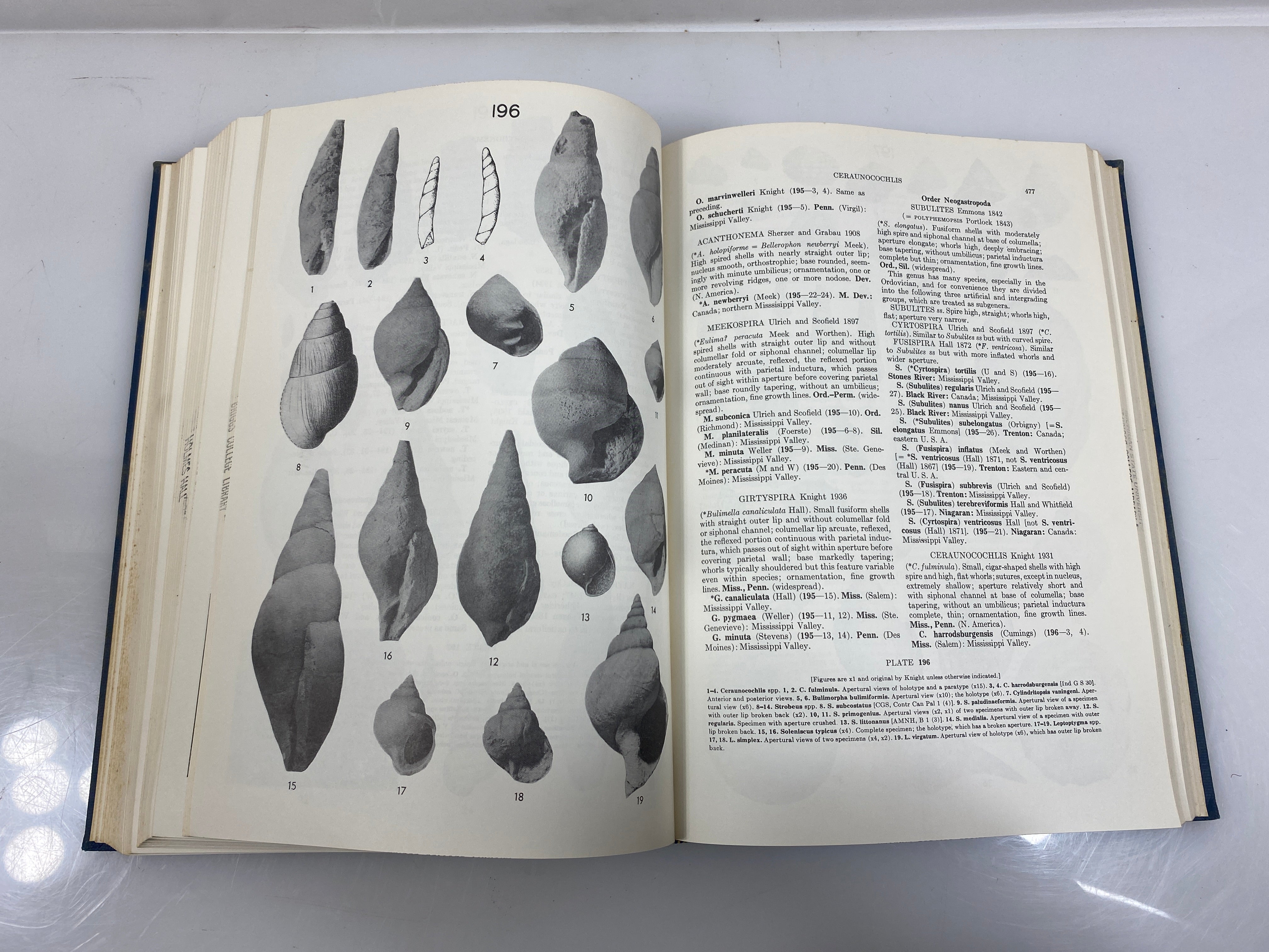 Index Fossils of North America by Shimer/Shrock 8th Print 1965 Ex-Library HC