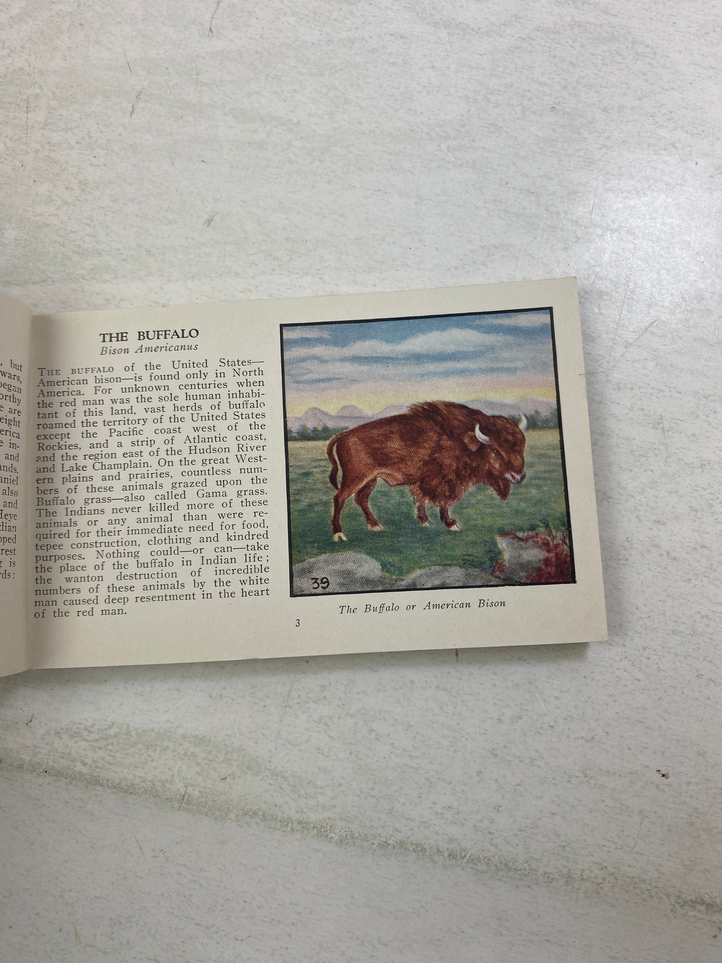 Indians of America Dan Beard Mini Book SC 1935
