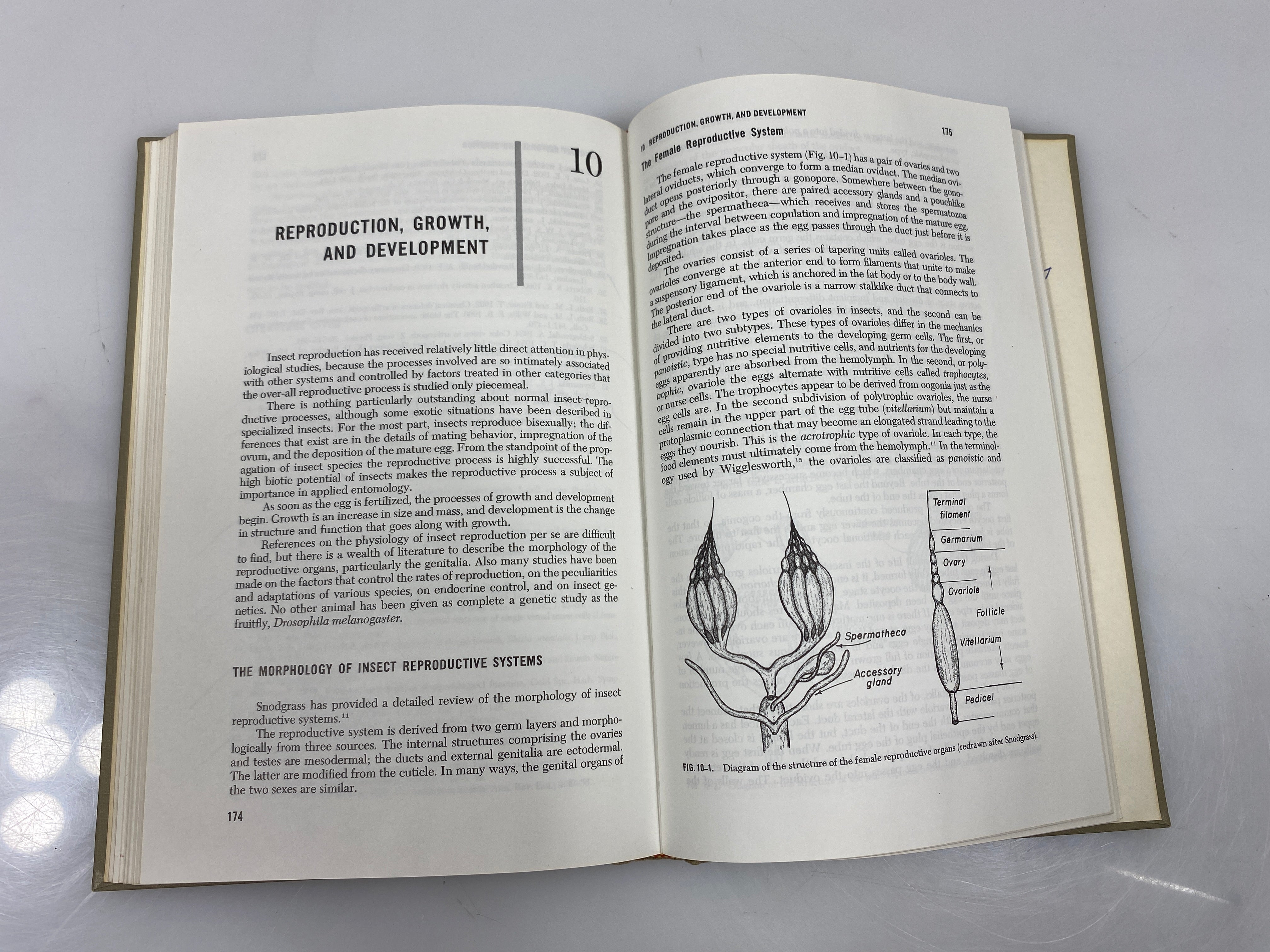 Introductory Insect Physiology by Patton 1963 HC