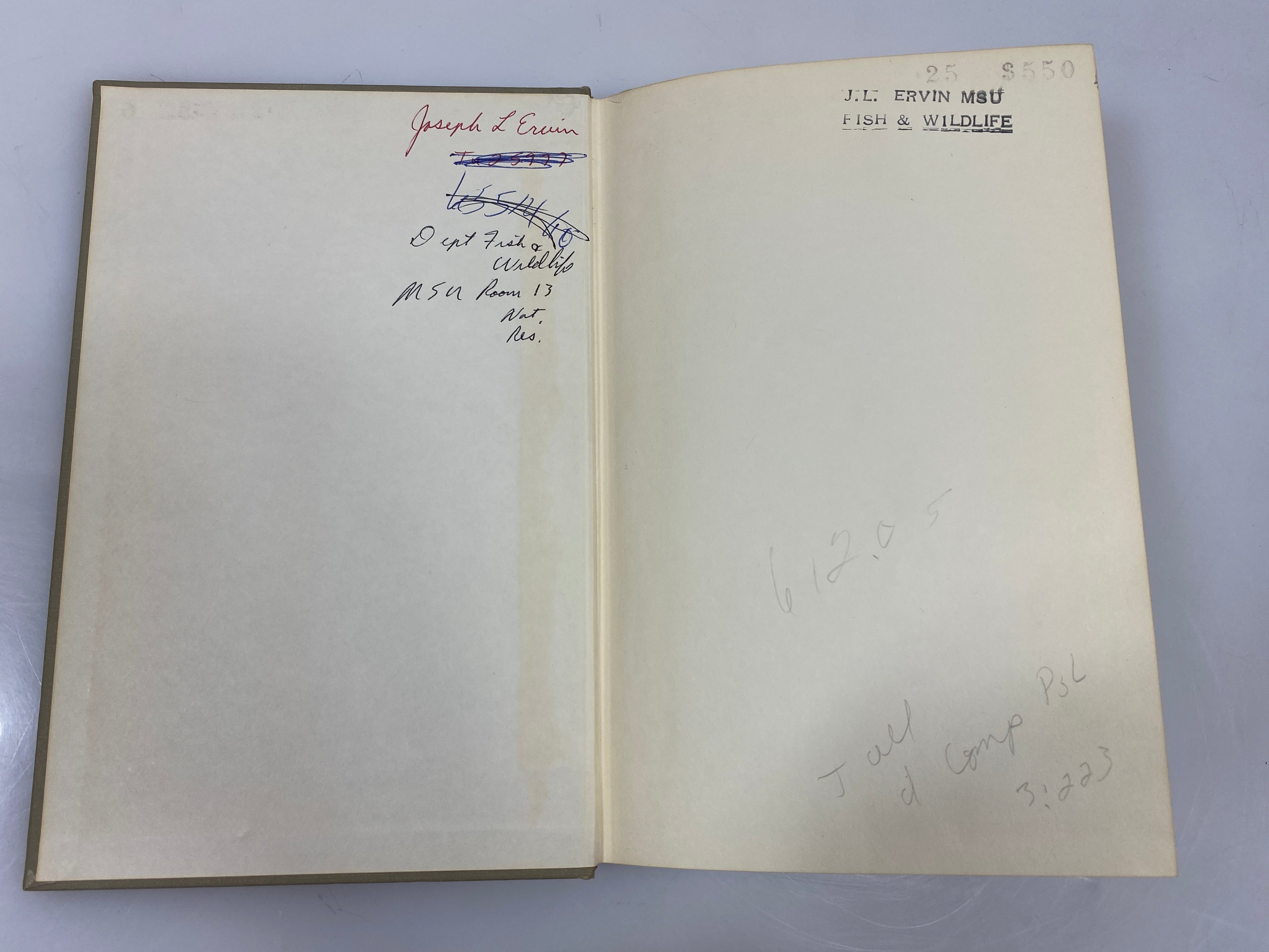 Introductory Insect Physiology by Patton 1963 HC