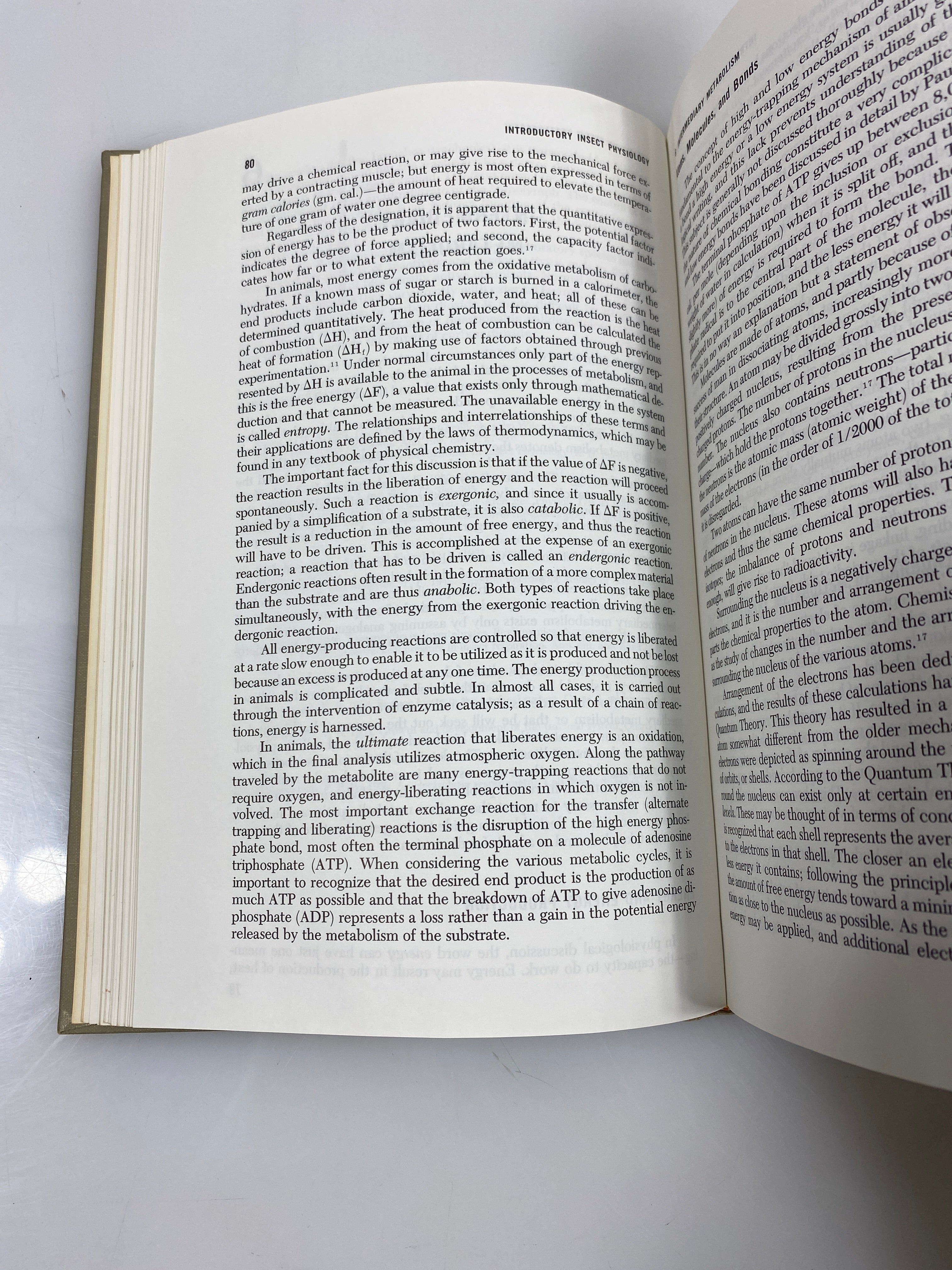 Introductory Insect Physiology by Patton 1963 HC