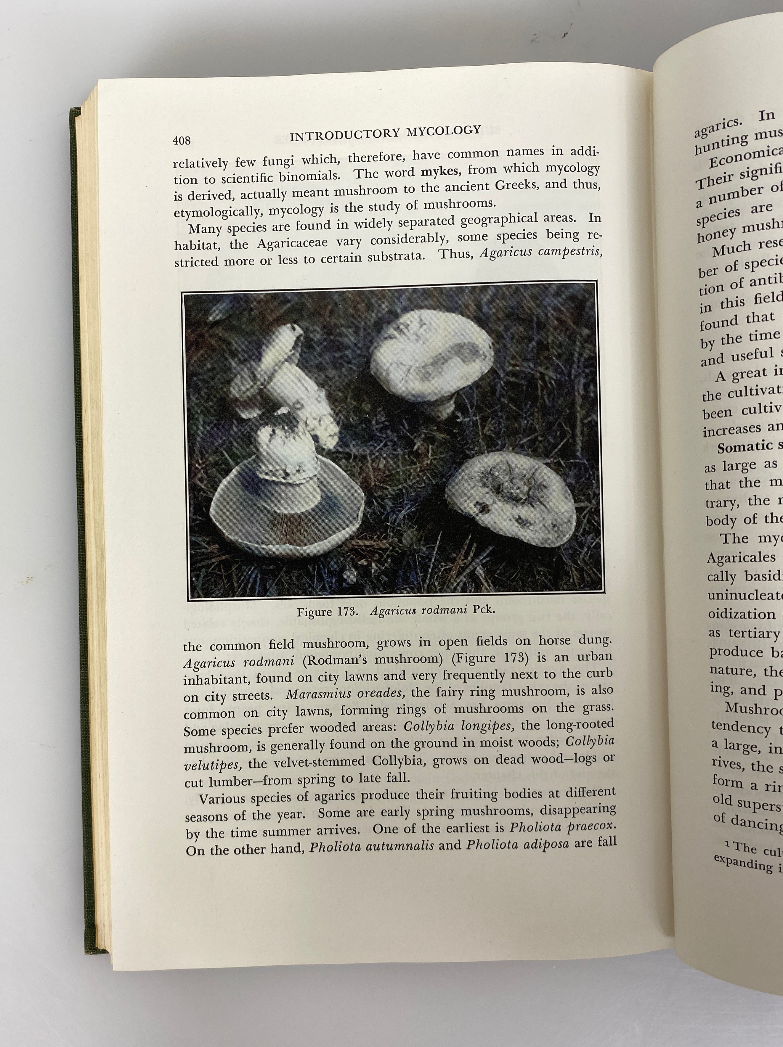 Introductory Mycology by Constantine Alexopoulos 1952 Signed 1st Edition HC