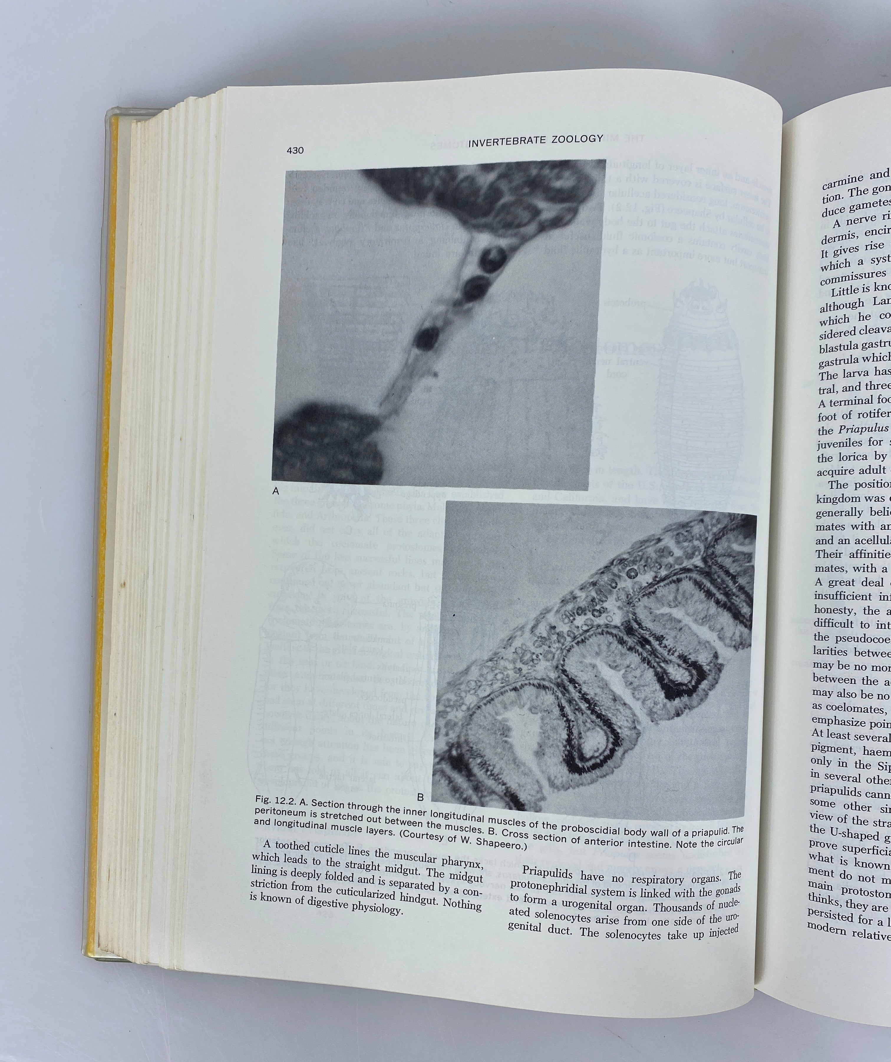 Invertebrate Zoology by Paul Meglitsch 1972 2nd Edition HC DJ