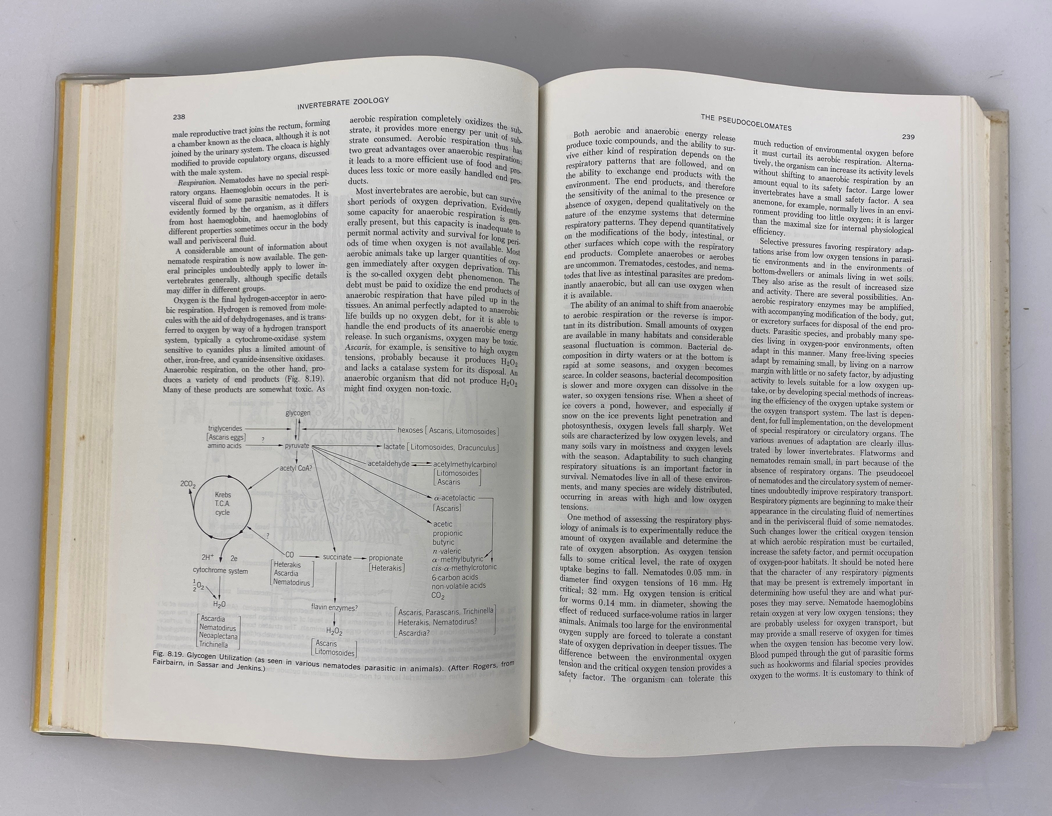 Invertebrate Zoology by Paul Meglitsch 1972 2nd Edition HC DJ
