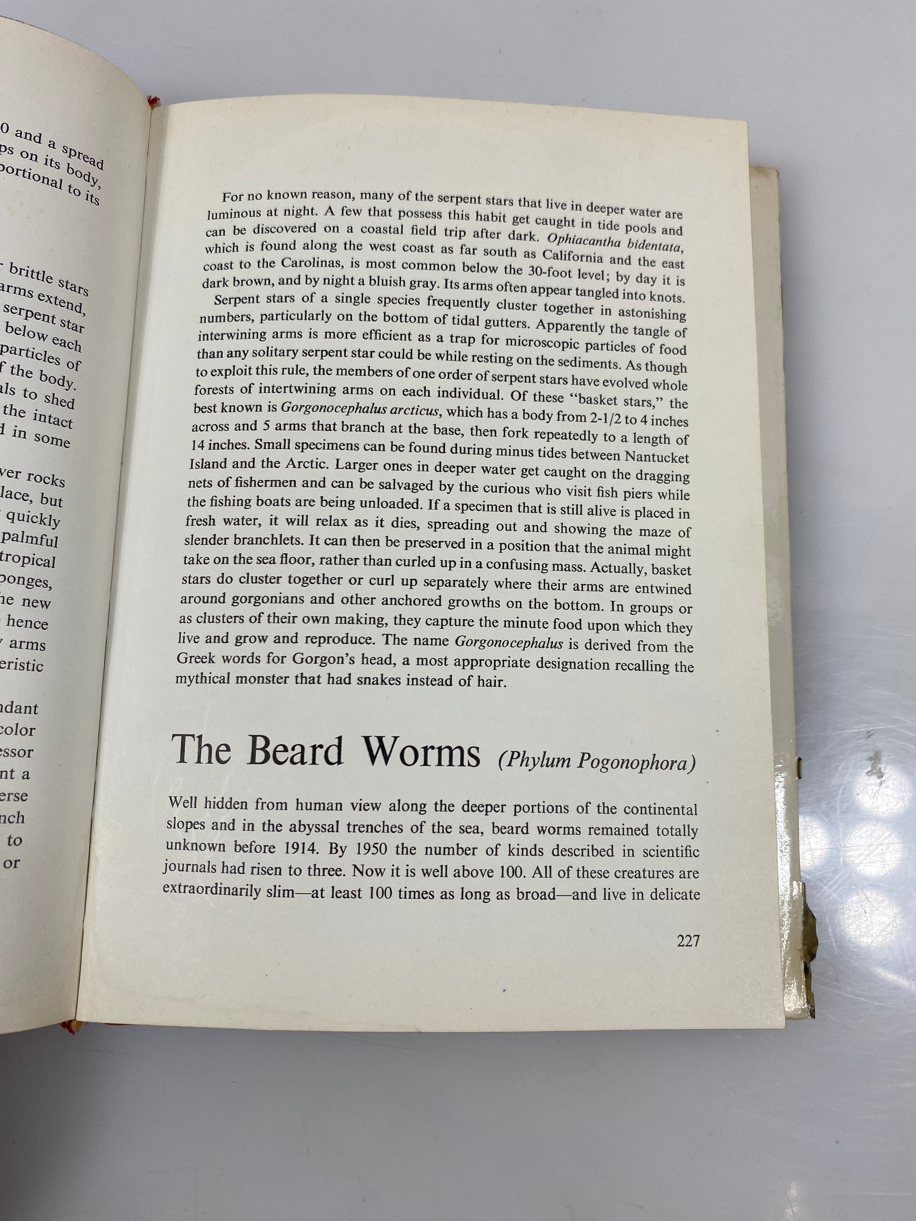 Invertebrates of North America by Milne/Milne HCDJ