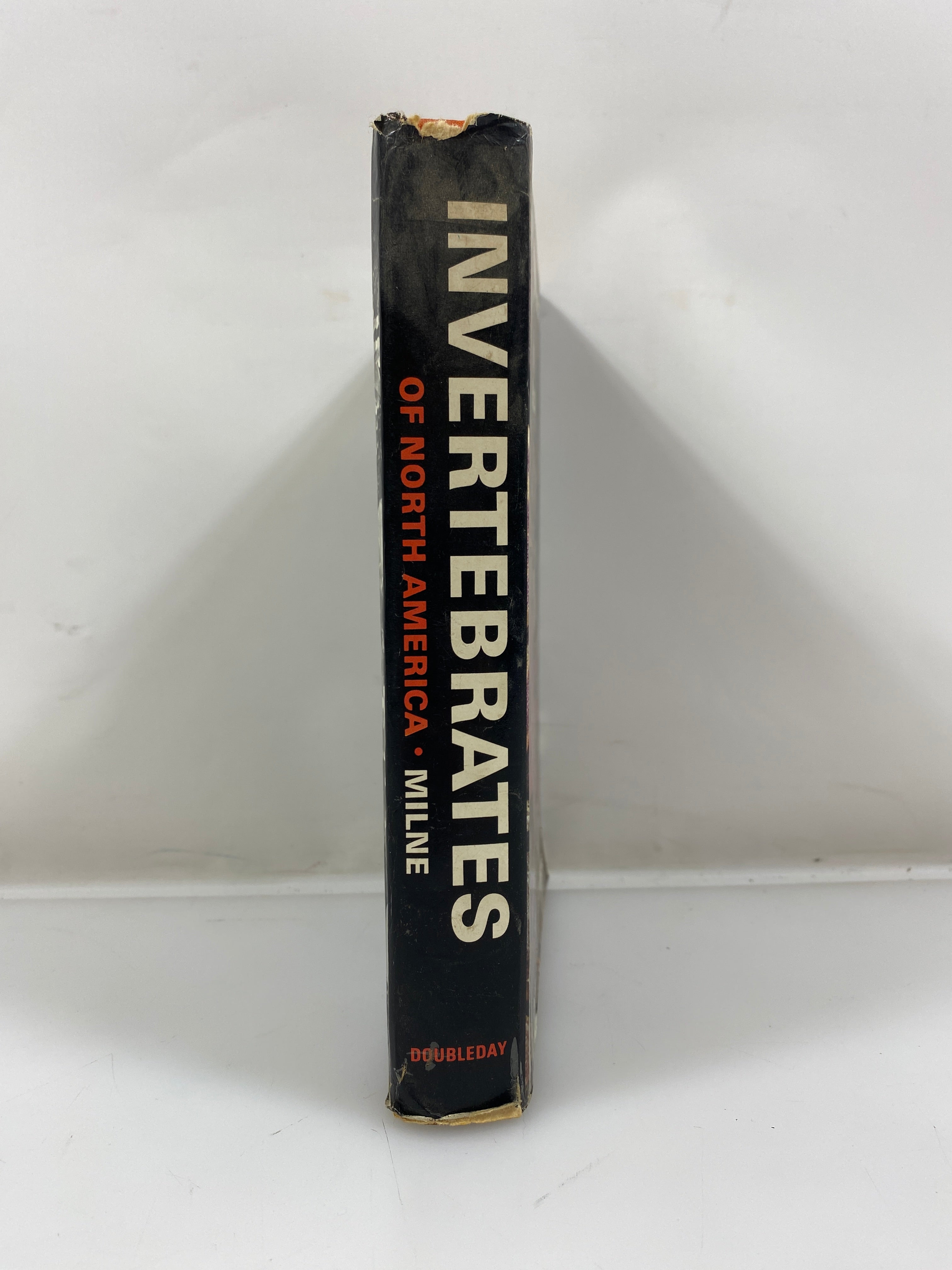 Invertebrates of North America by Milne/Milne HCDJ
