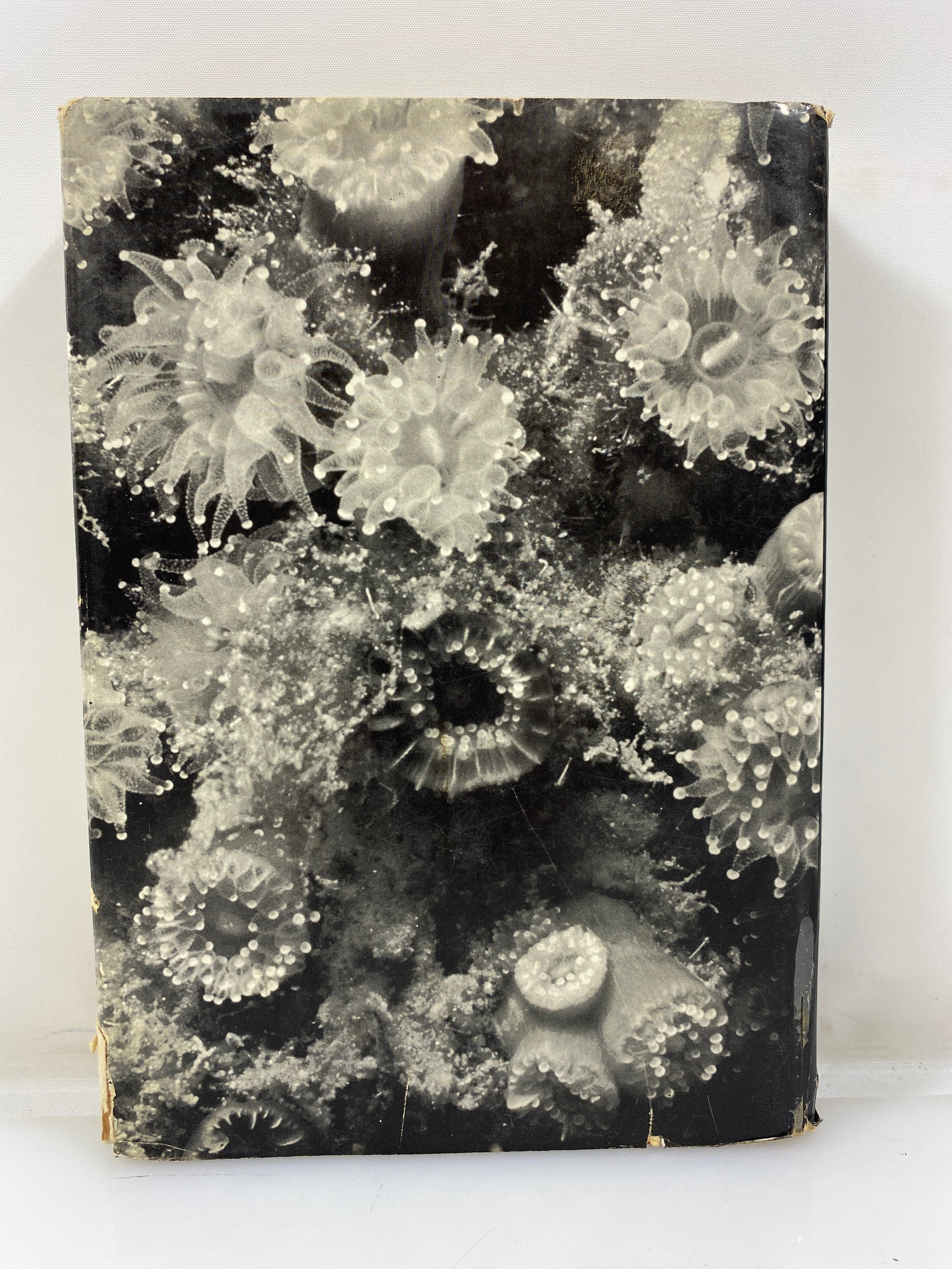 Invertebrates of North America by Milne/Milne HCDJ