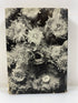 Invertebrates of North America by Milne/Milne HCDJ