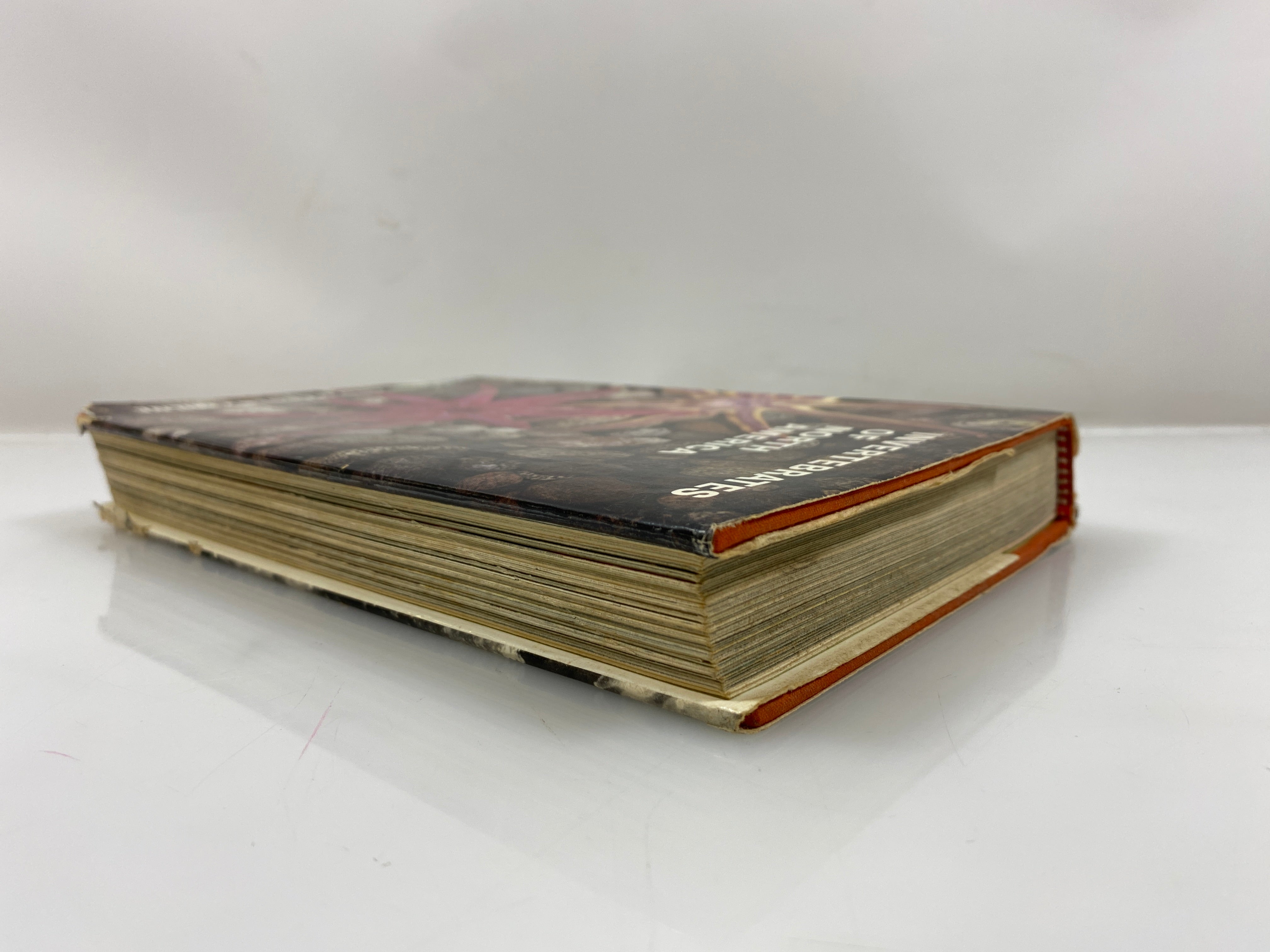 Invertebrates of North America by Milne/Milne HCDJ