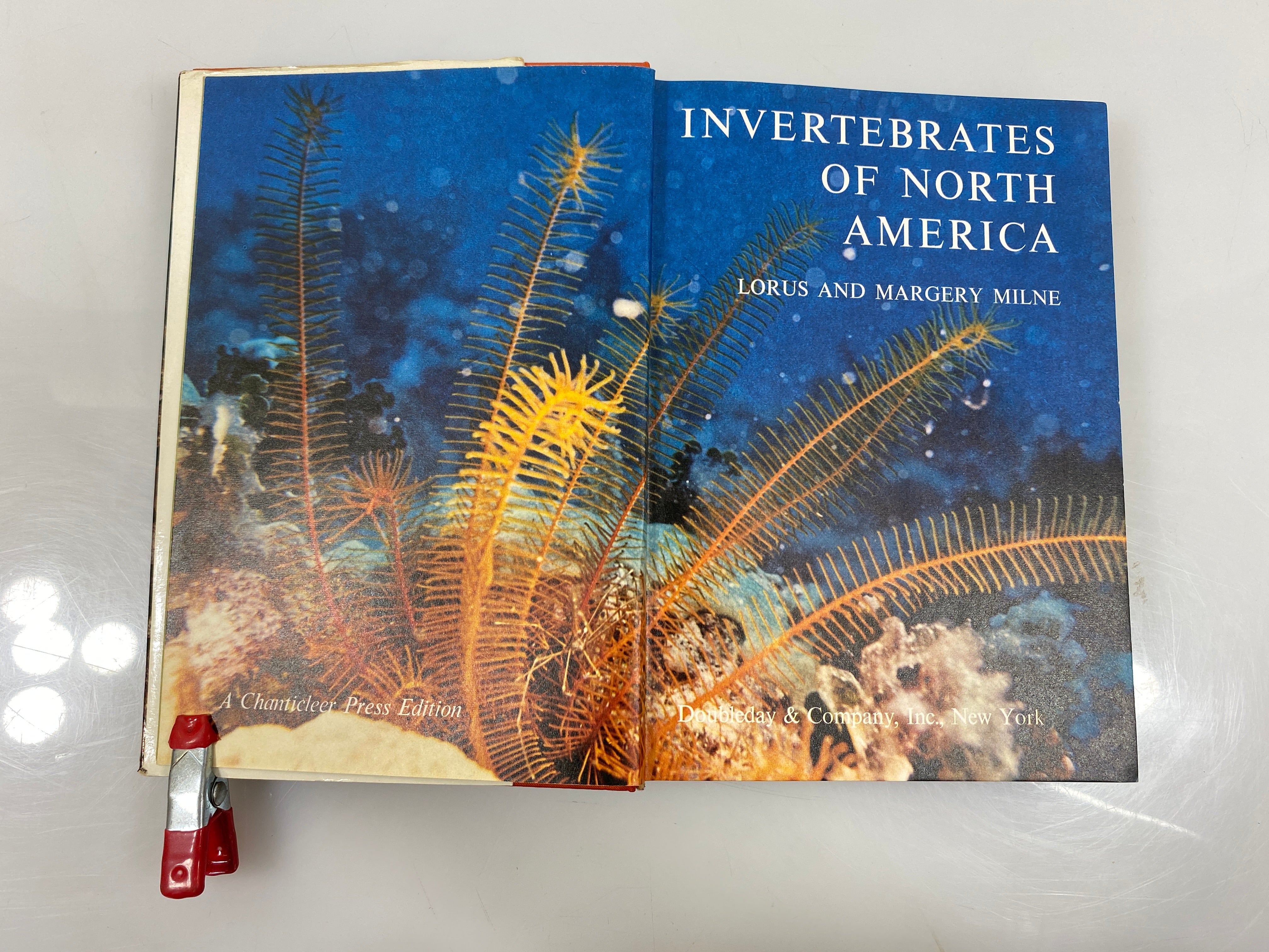 Invertebrates of North America by Milne/Milne HCDJ