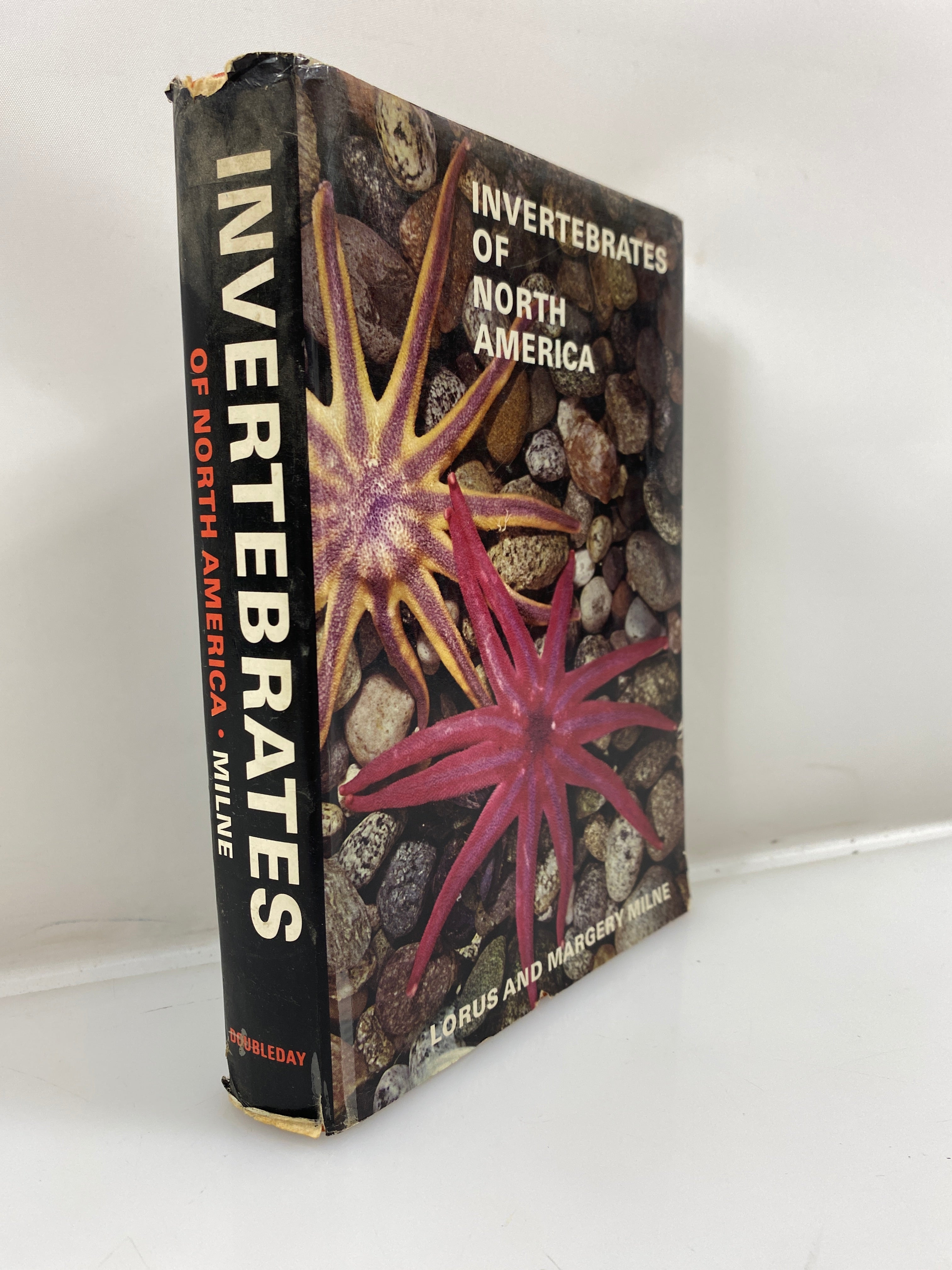 Invertebrates of North America by Milne/Milne HCDJ