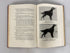 Irish Setter Word and Picture by William Thompson 1954 Vintage HC