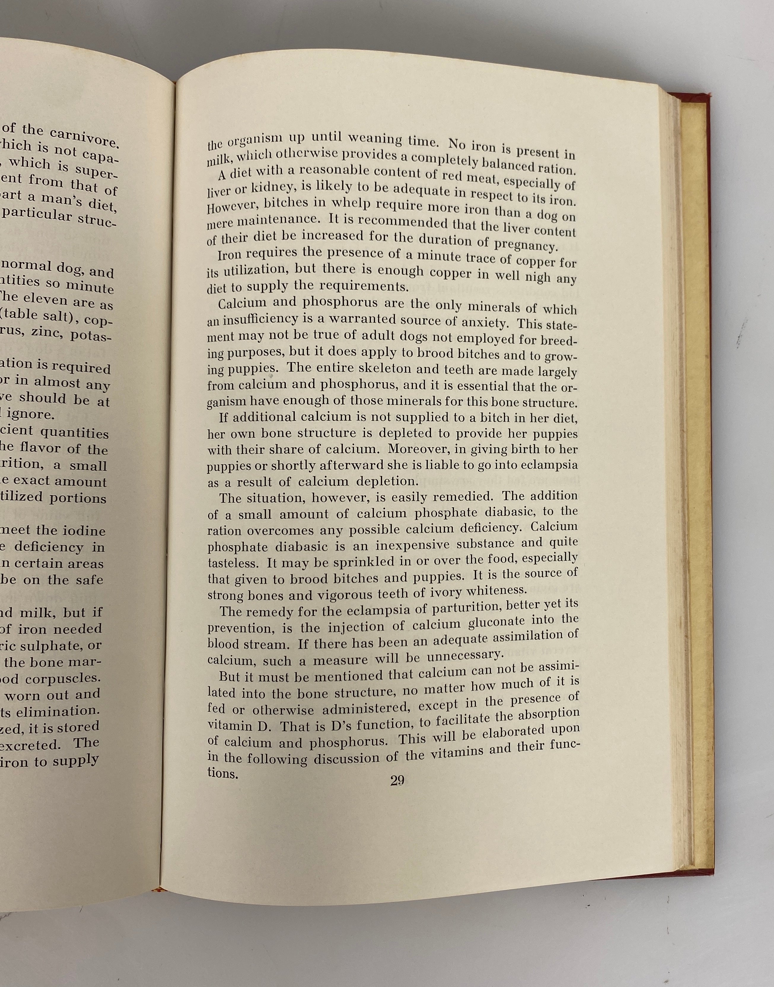 Irish Setter Word and Picture by William Thompson 1954 Vintage HC