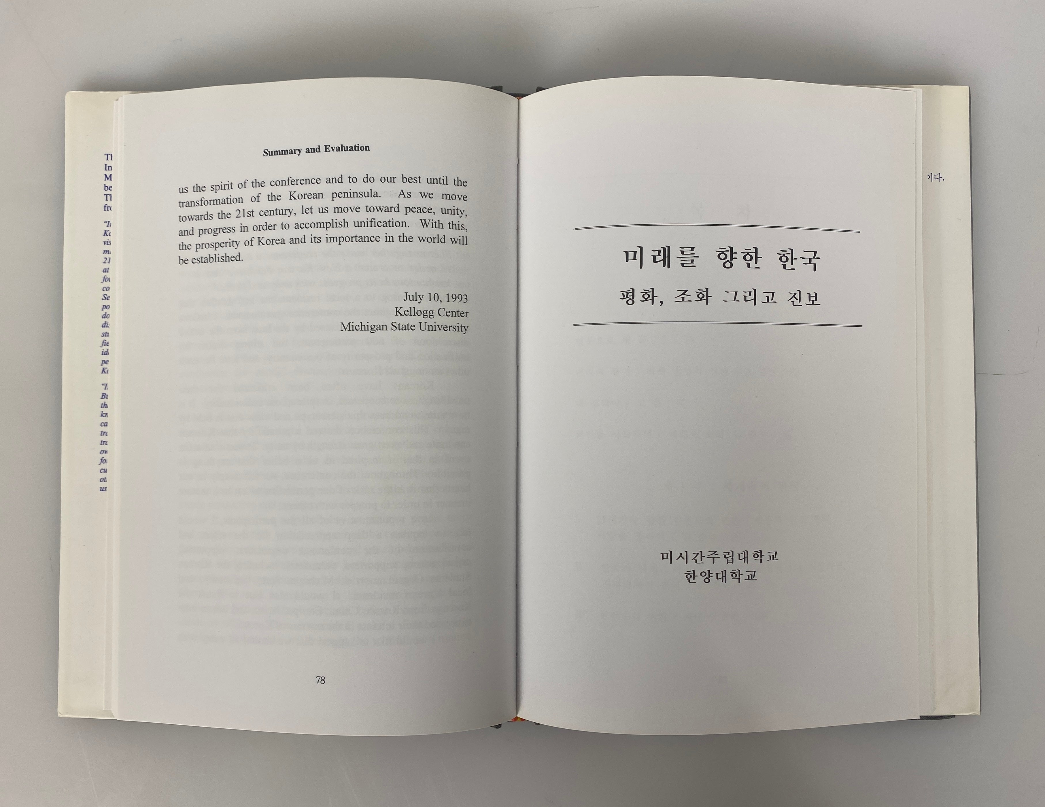 Korea into the Future by Gill-Chin Lim 1994 HC DJ