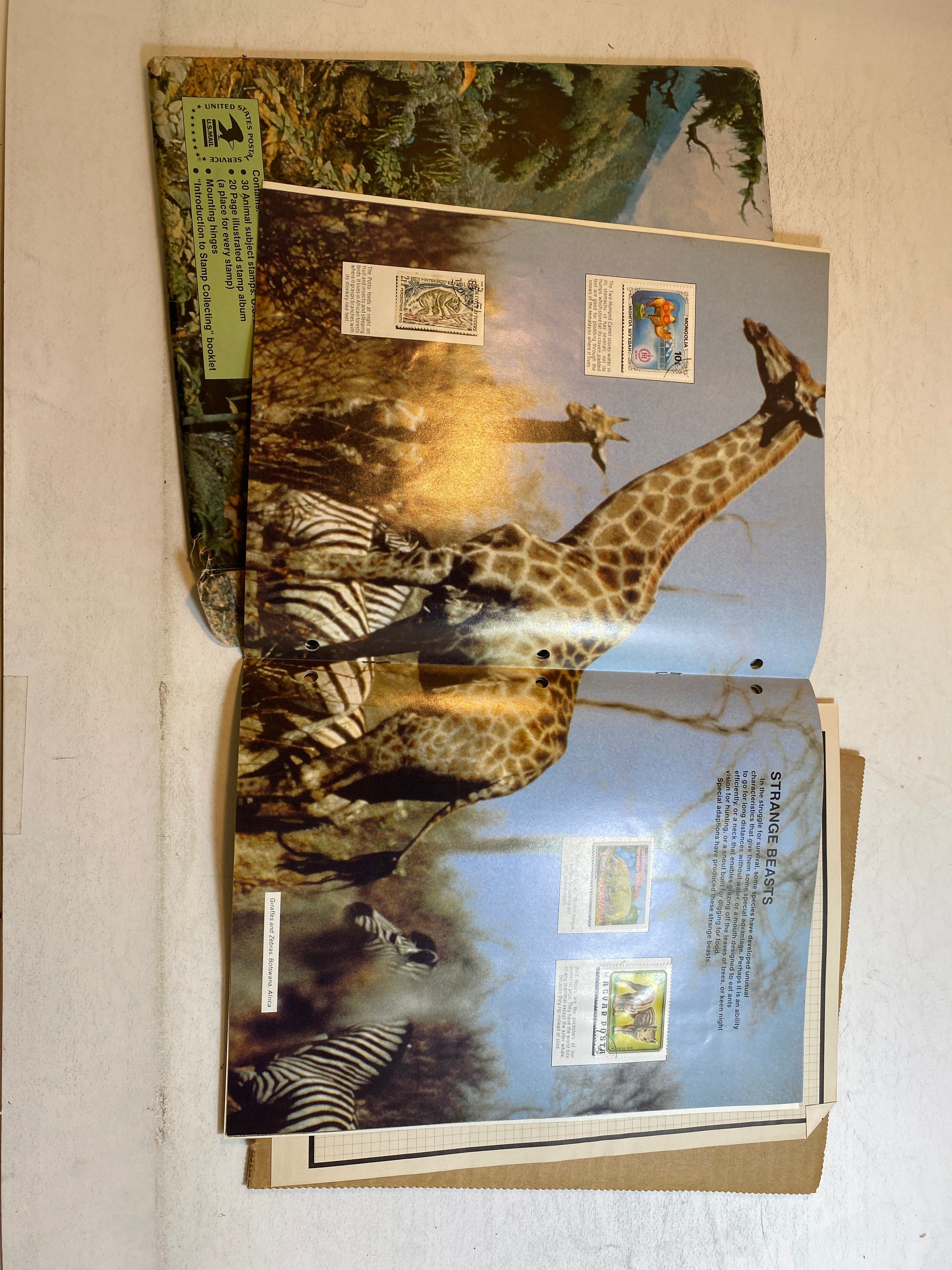 Large Stamp Collection with Many Vintage Albums