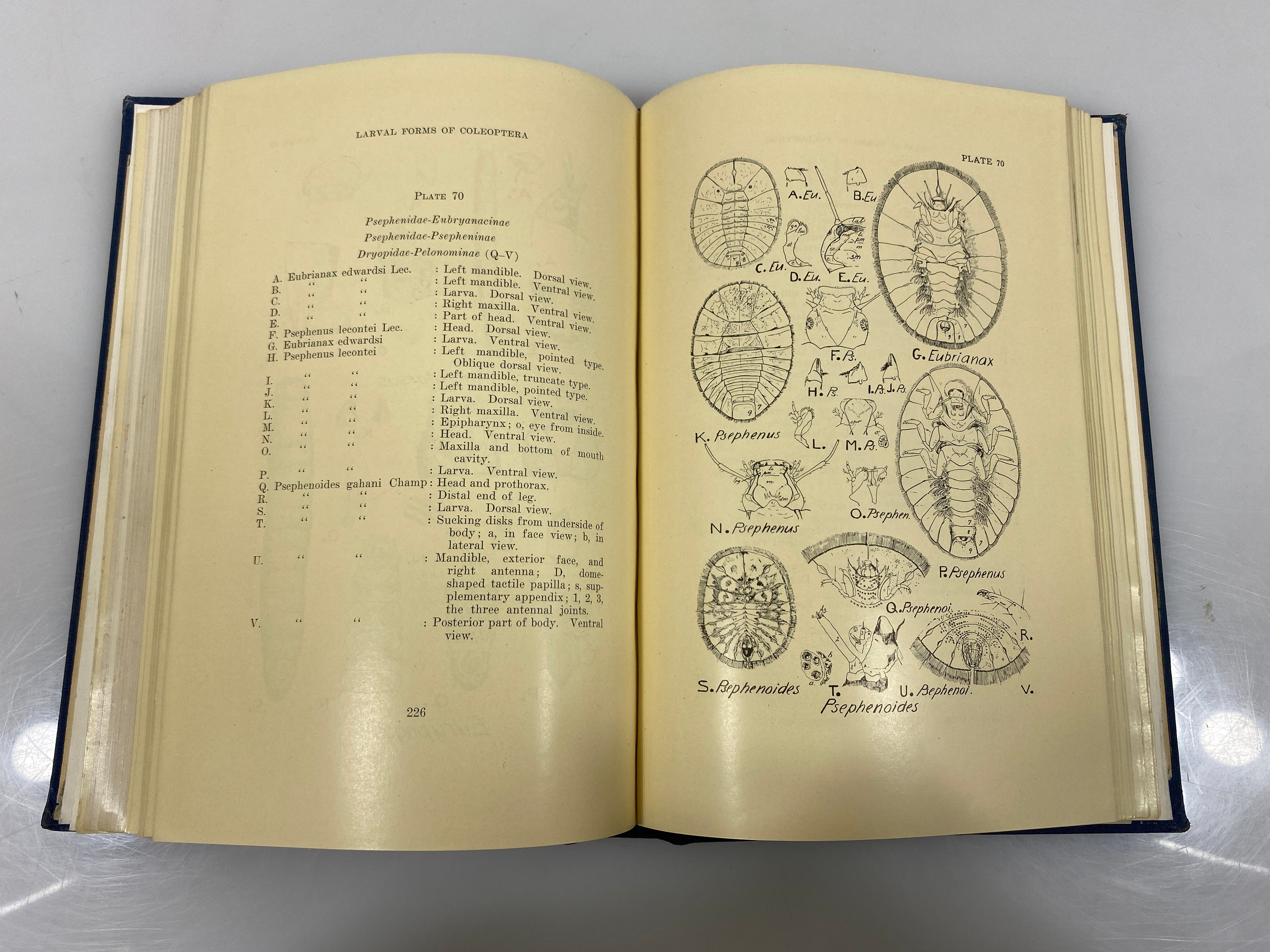 Larvae of Coleoptera by Boving/Craighead Ex-library 1931 HC