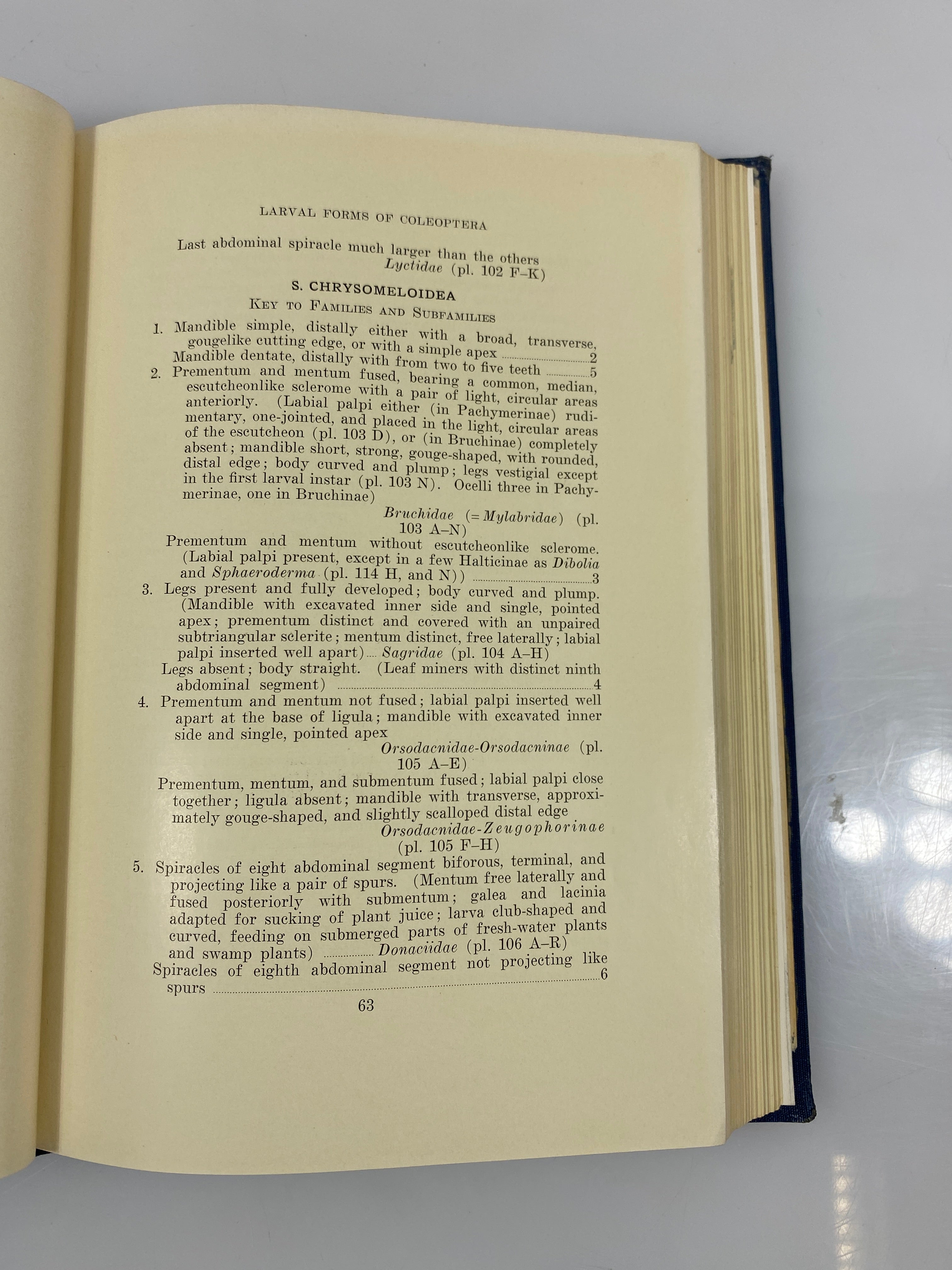 Larvae of Coleoptera by Boving/Craighead Ex-library 1931 HC