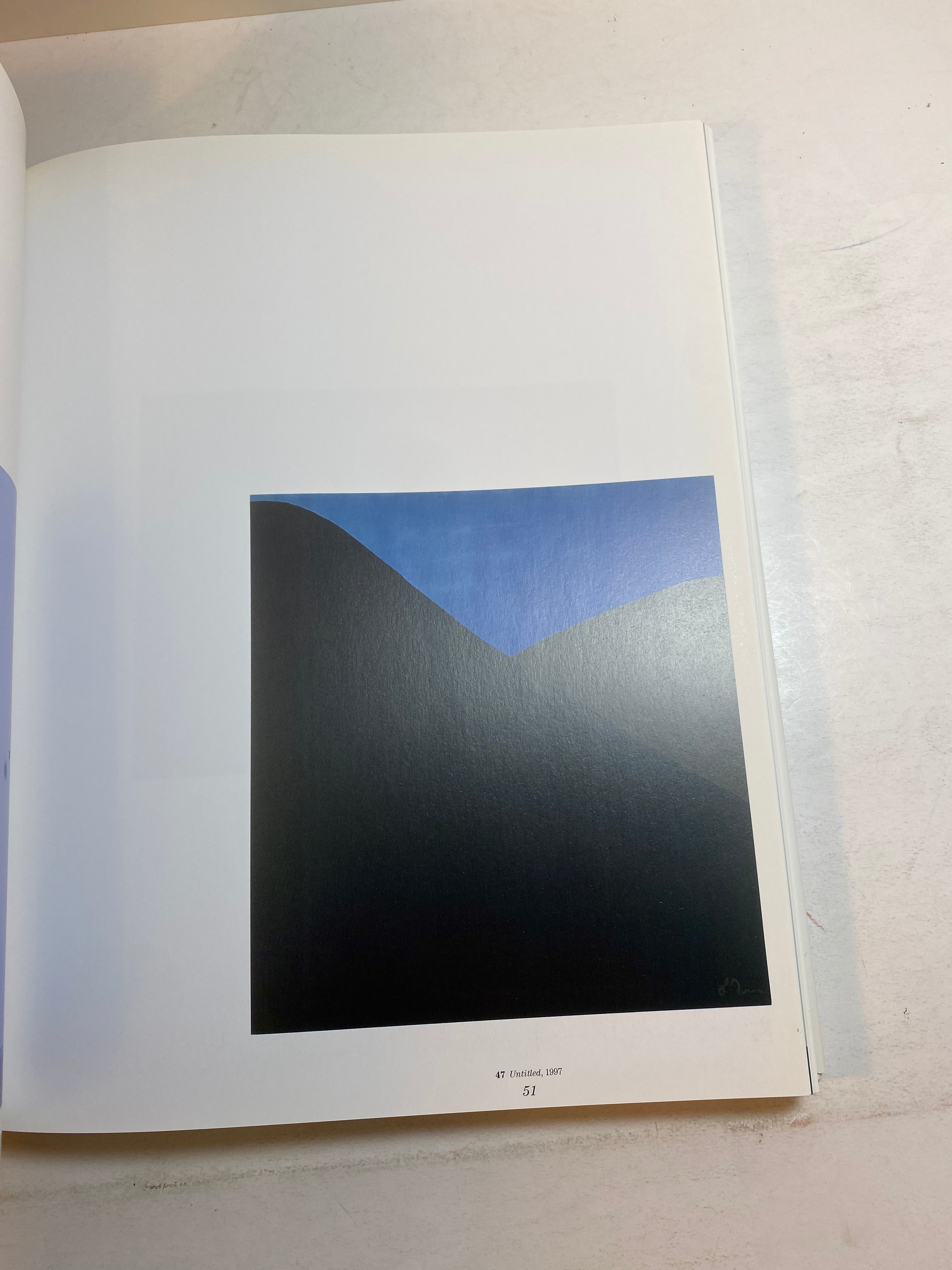 Laura Owens Monograph by Rod Mengham HCDJ 2007