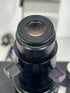 Leitz Laborlux 11 Microscope