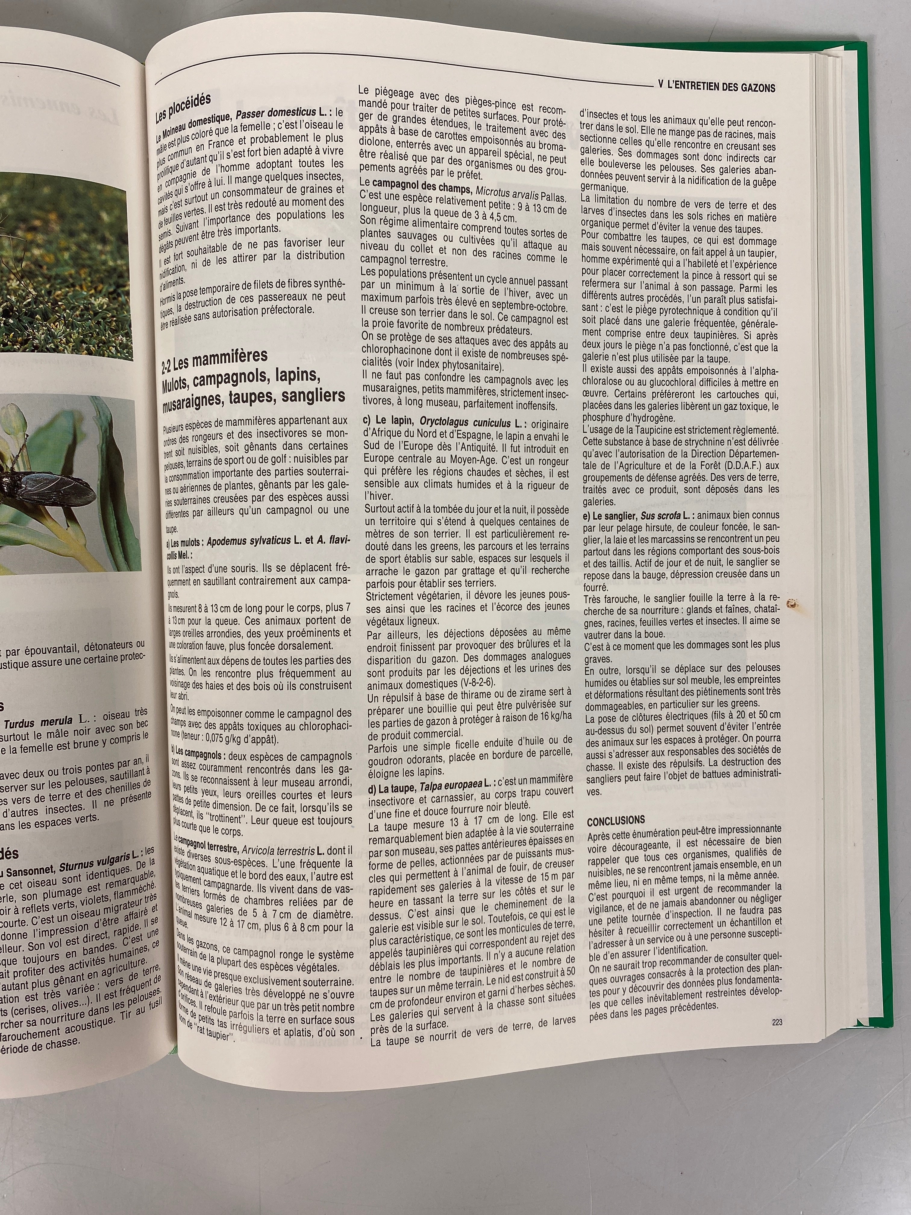 L'Encyclopedie des Gazons (All About Lawns) 1990 HC