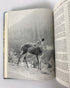 Letters of Inspiration by Gladys Taber 1977 Vintage HC