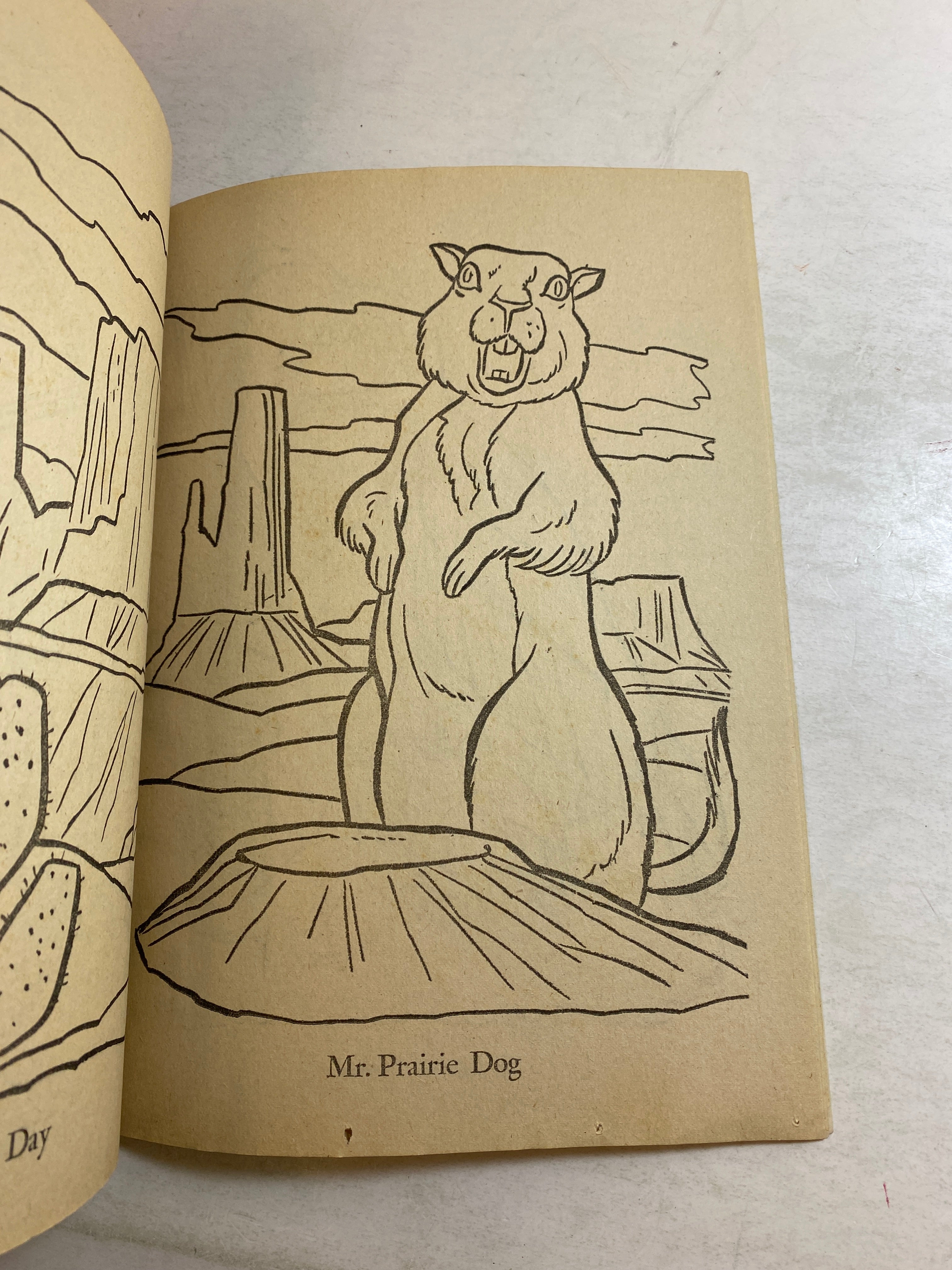 Lone Ranger Coloring Book Whitman 1975