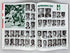 Lot of 10 Michigan State MSU Football Programs 1979-1989