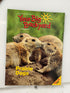 Lot of 10 Your Big Backyard Kids Magazines; 10 issues from 2004