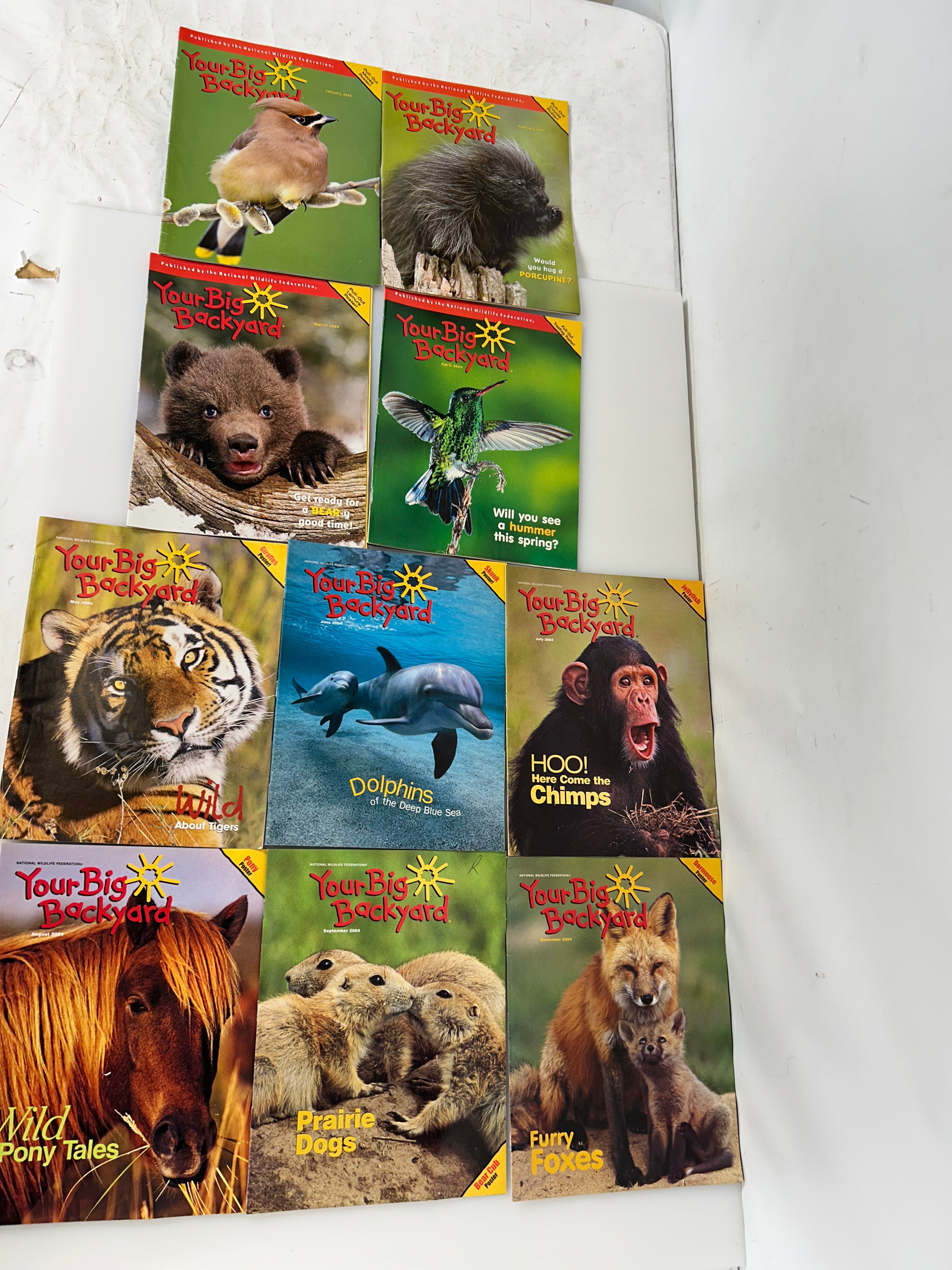 Lot of 10 Your Big Backyard Kids Magazines; 10 issues from 2004