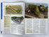Lot of 12 Model Railroader Magazine (2016 Complete Year)