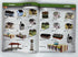 Lot of 12 Model Railroader Magazine (2019 Complete Year)