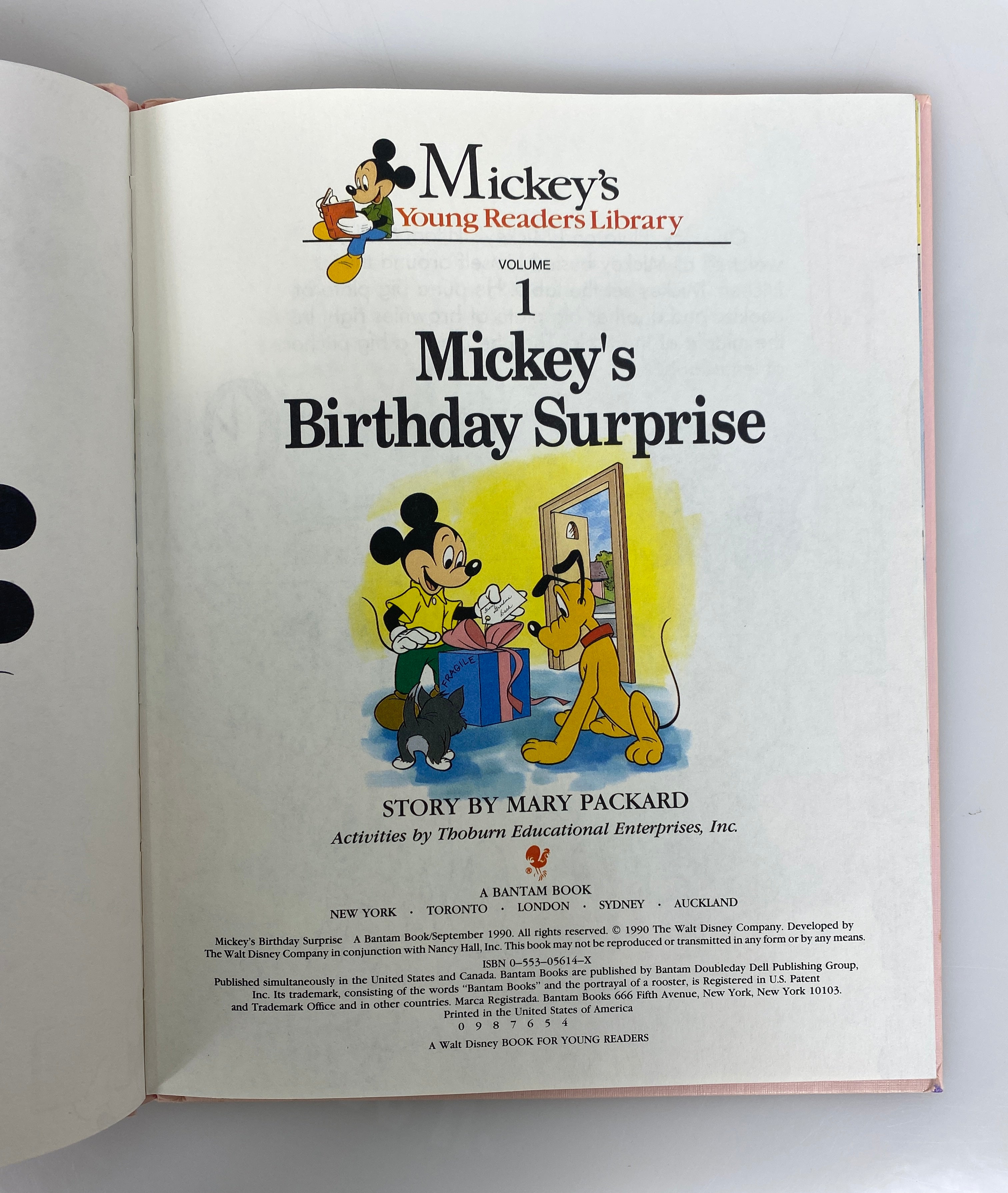 Lot of 14 Mickey's Young Readers Library (1-5, 8-11, 14-17, 19) 1990 HC