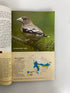 Lot of 18: Bird Watcher's Digest 2012-2014