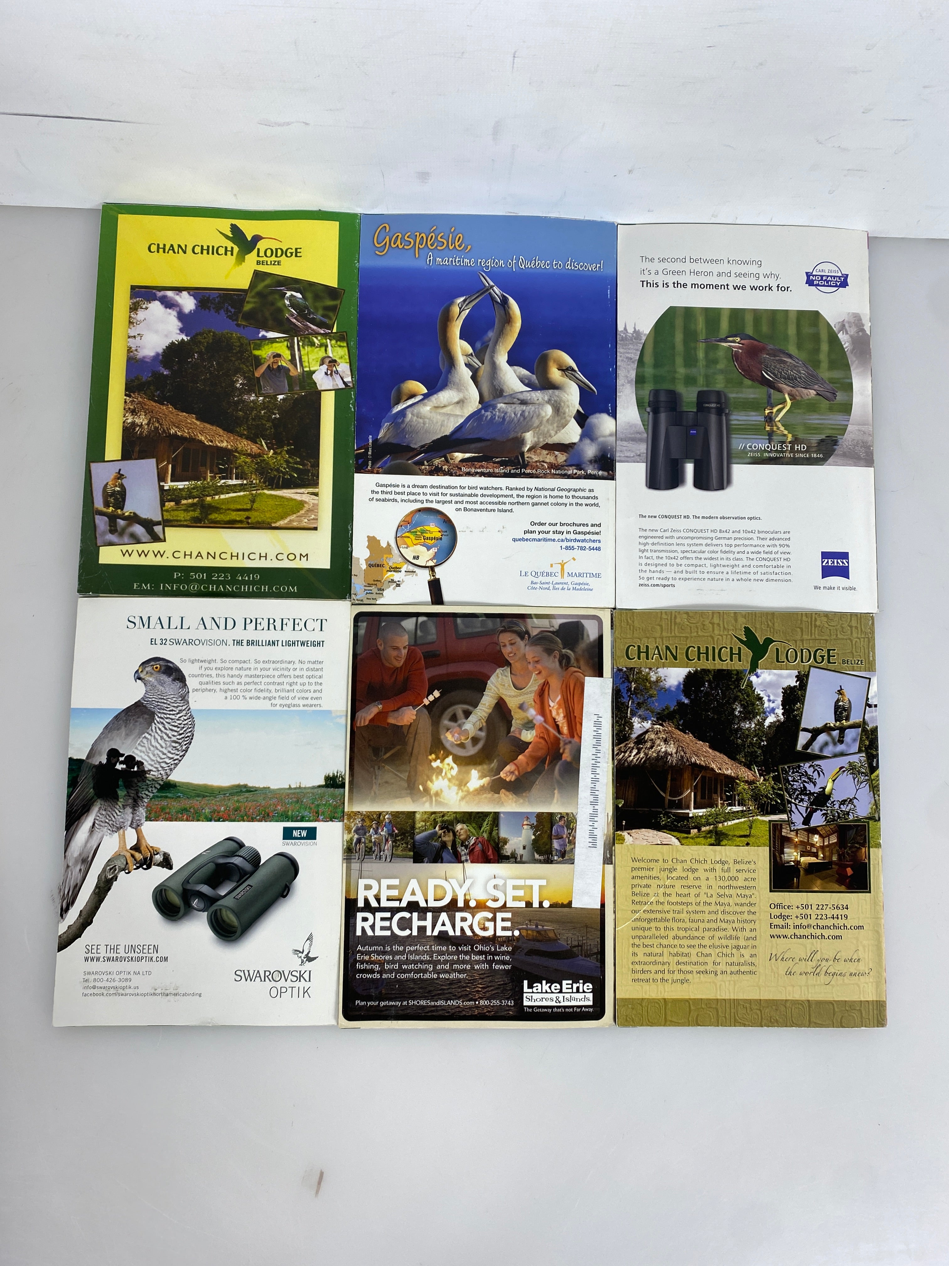 Lot of 18: Bird Watcher's Digest 2012-2014