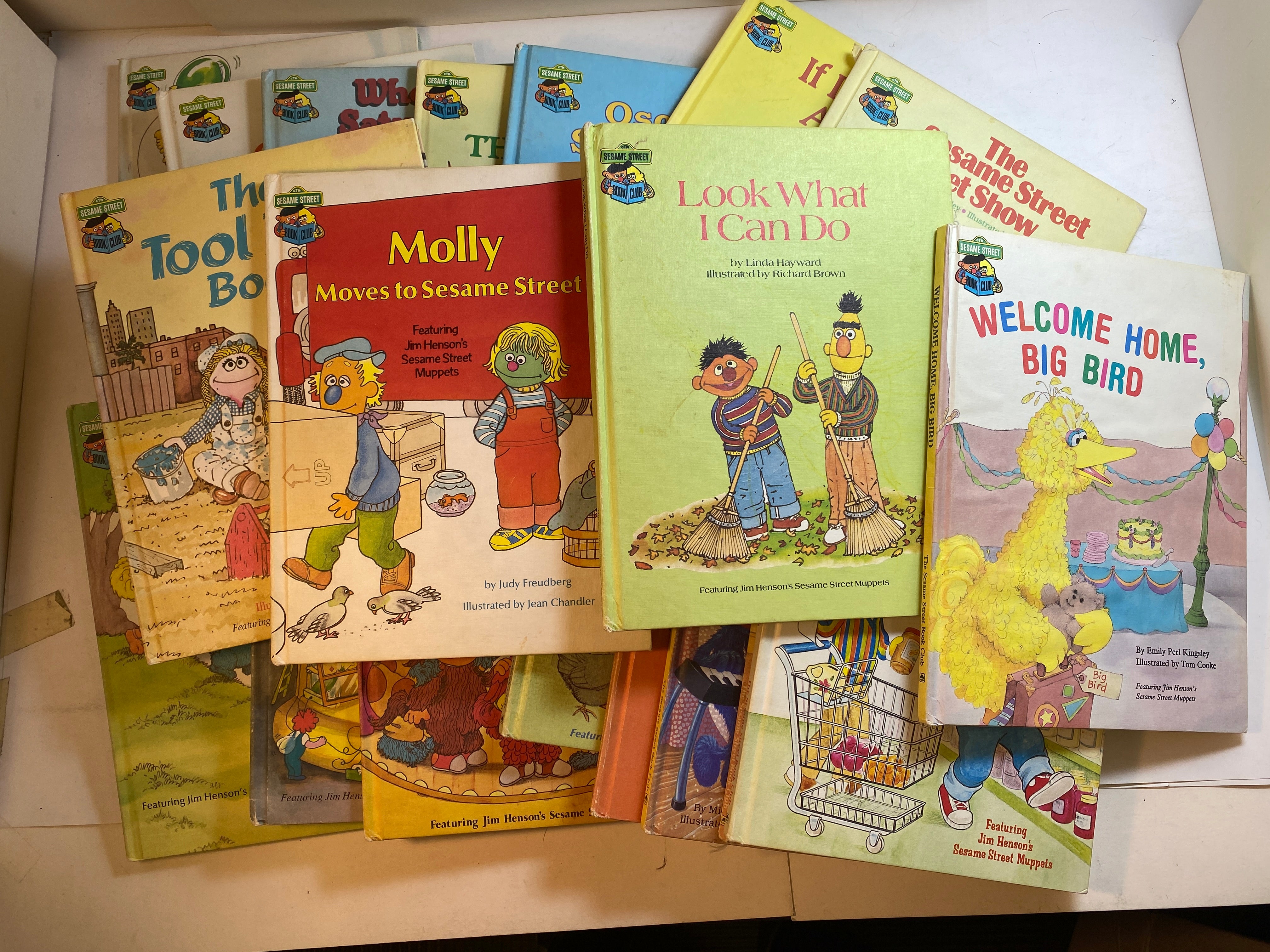 Lot of 19 Sesame Street Book Club Children's Books 1980-1987