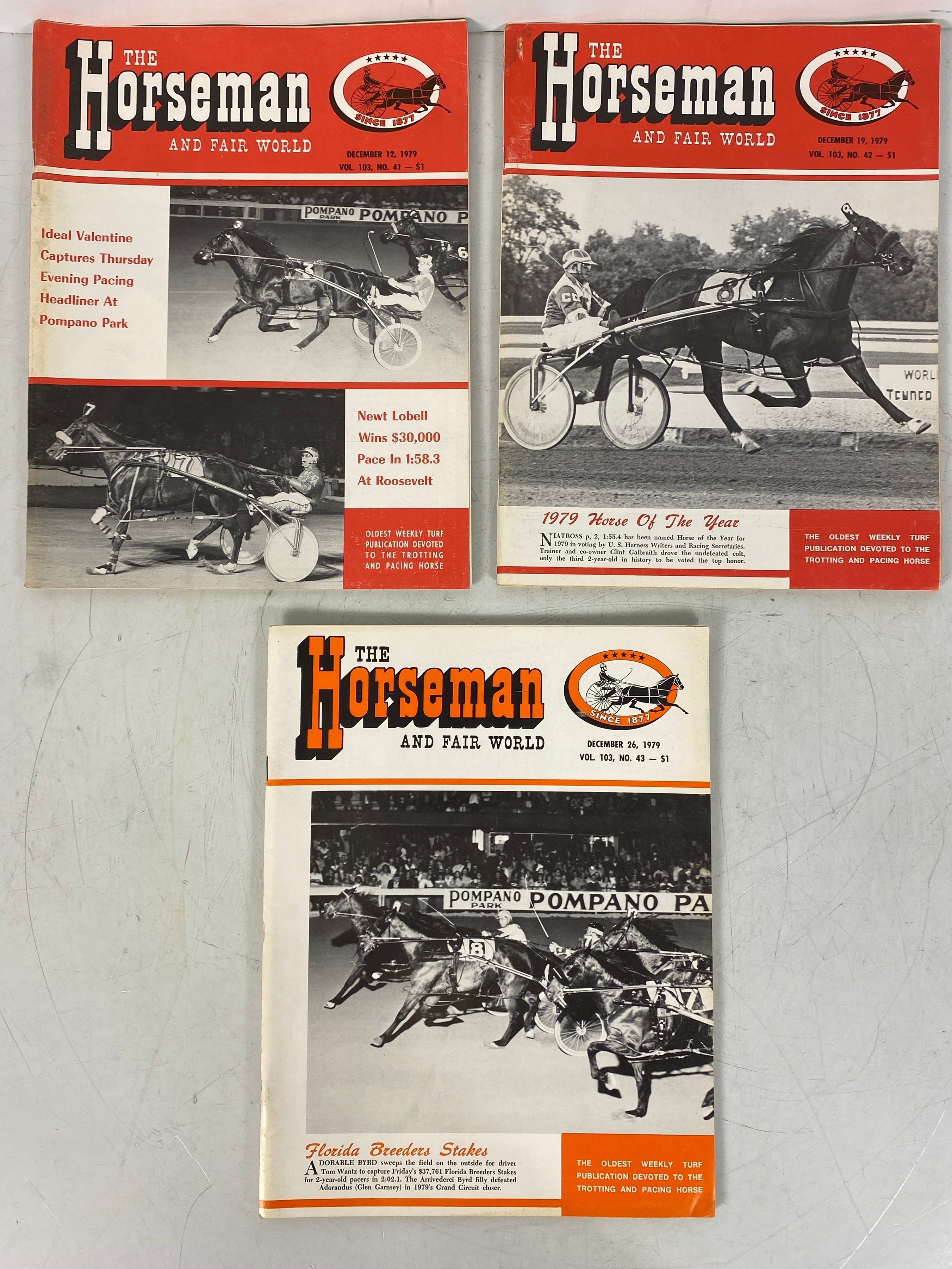 Lot of 19 The Horseman and Fair Magazines (June-December 1979)