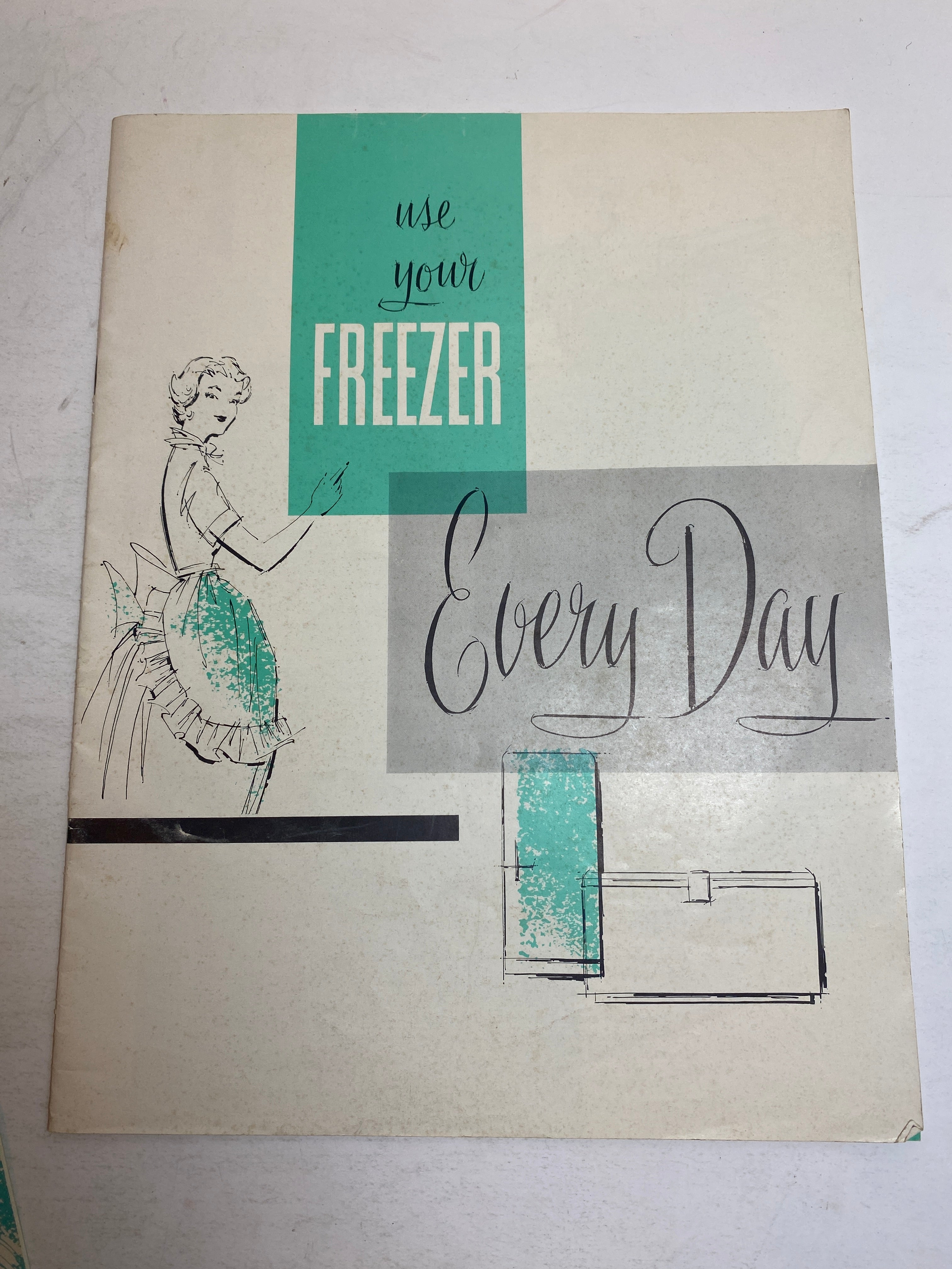 Lot of 1950s-1960s Home and Appliance Care Ephemera