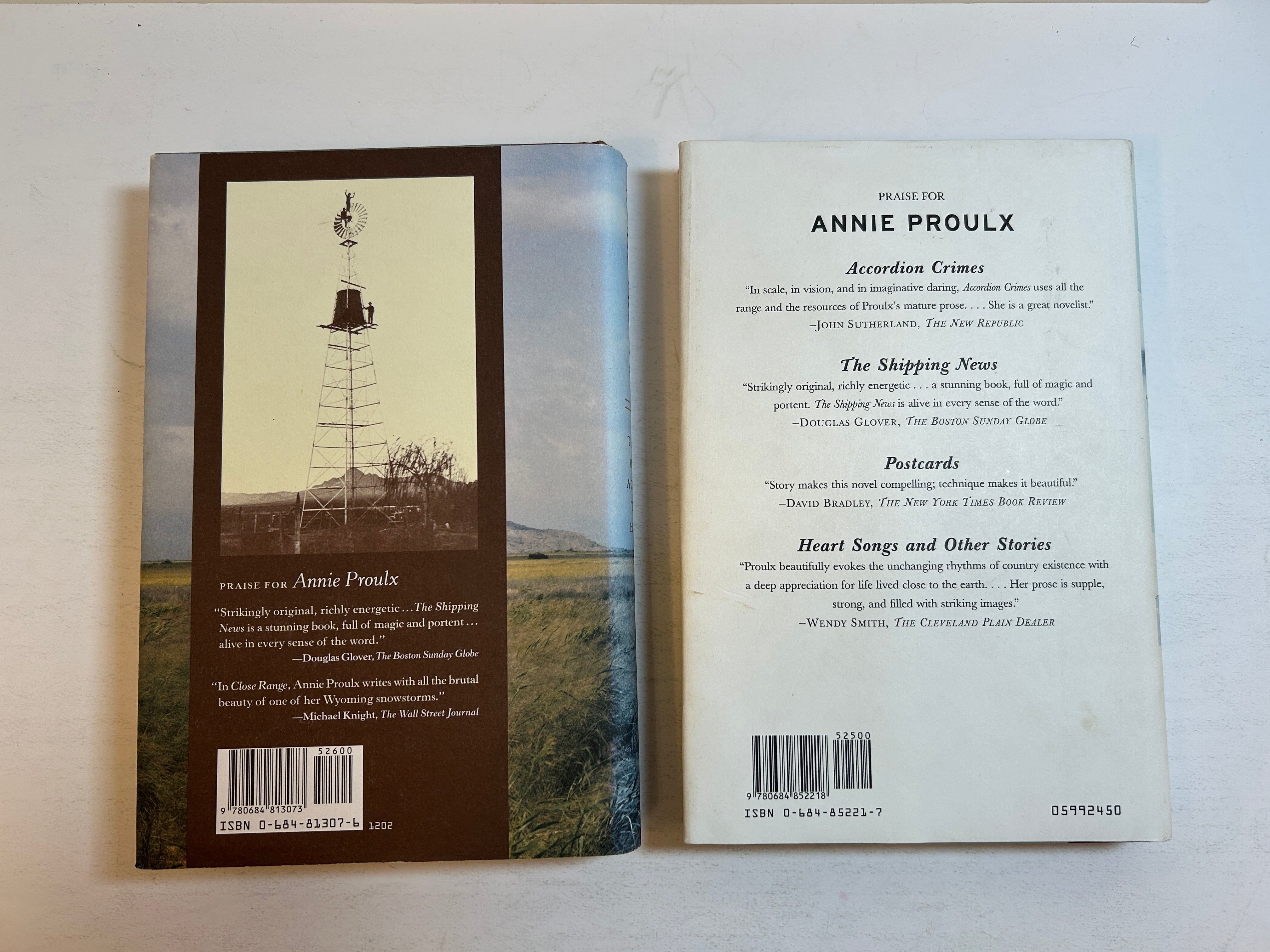 Lot of 2 Annie Proulx Hardcover Novels That Old Ace in the Hole/Close Range HCDJ