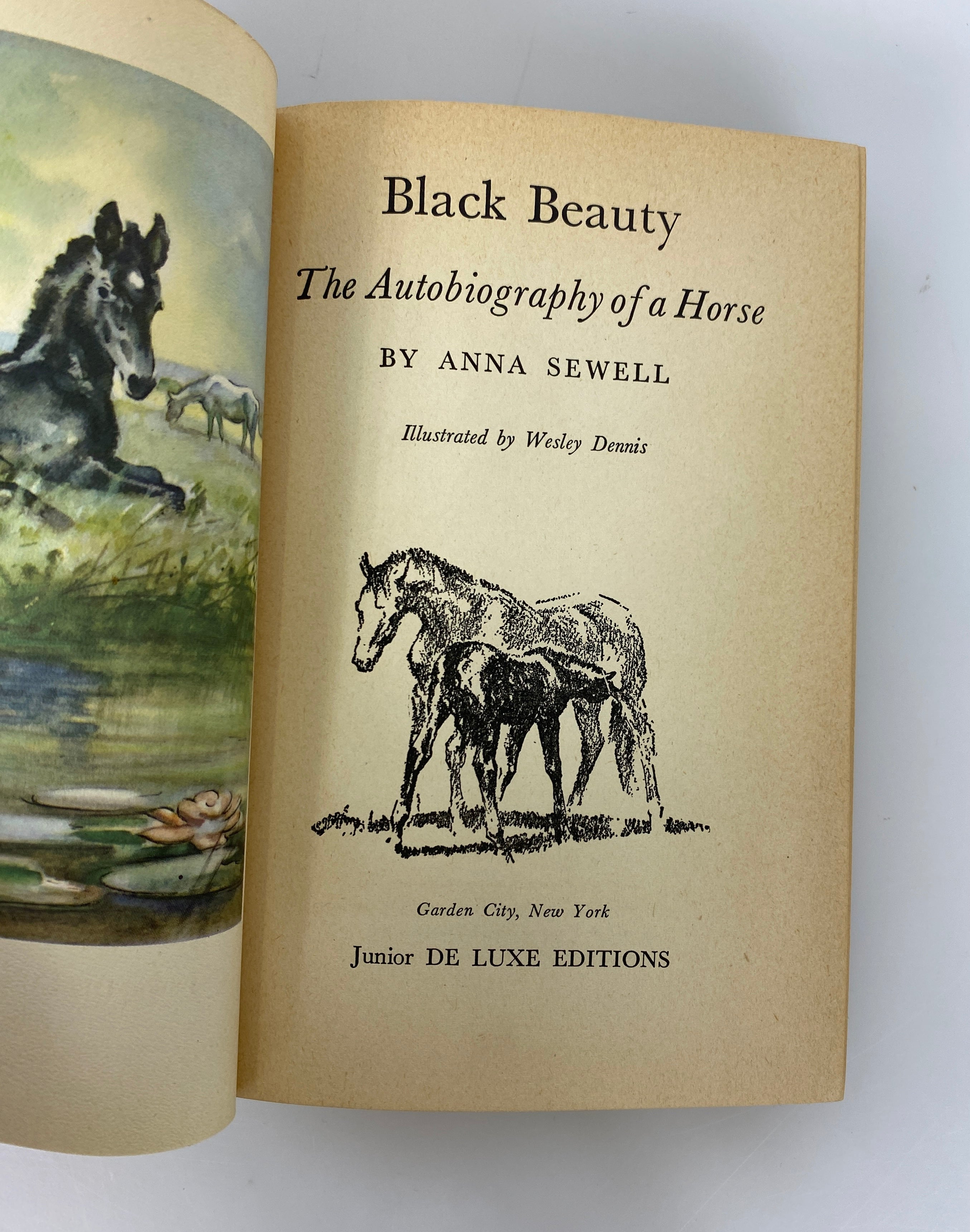 Lot of 2 Black Beauty by Sewell 1946/National Velvet by Bagnold 1949