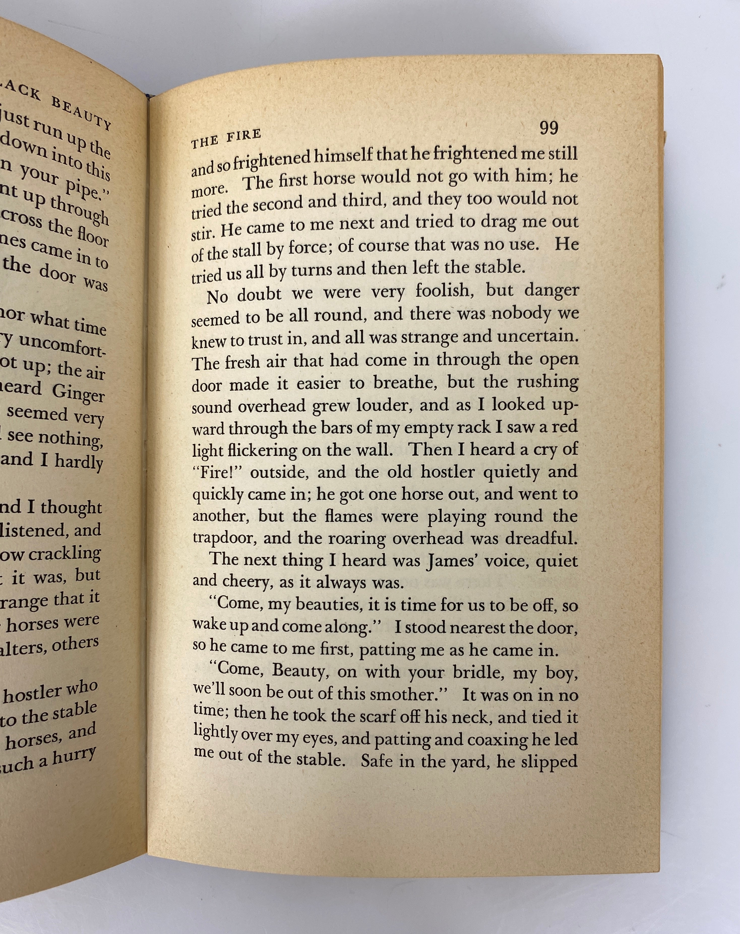 Lot of 2 Black Beauty by Sewell 1946/National Velvet by Bagnold 1949