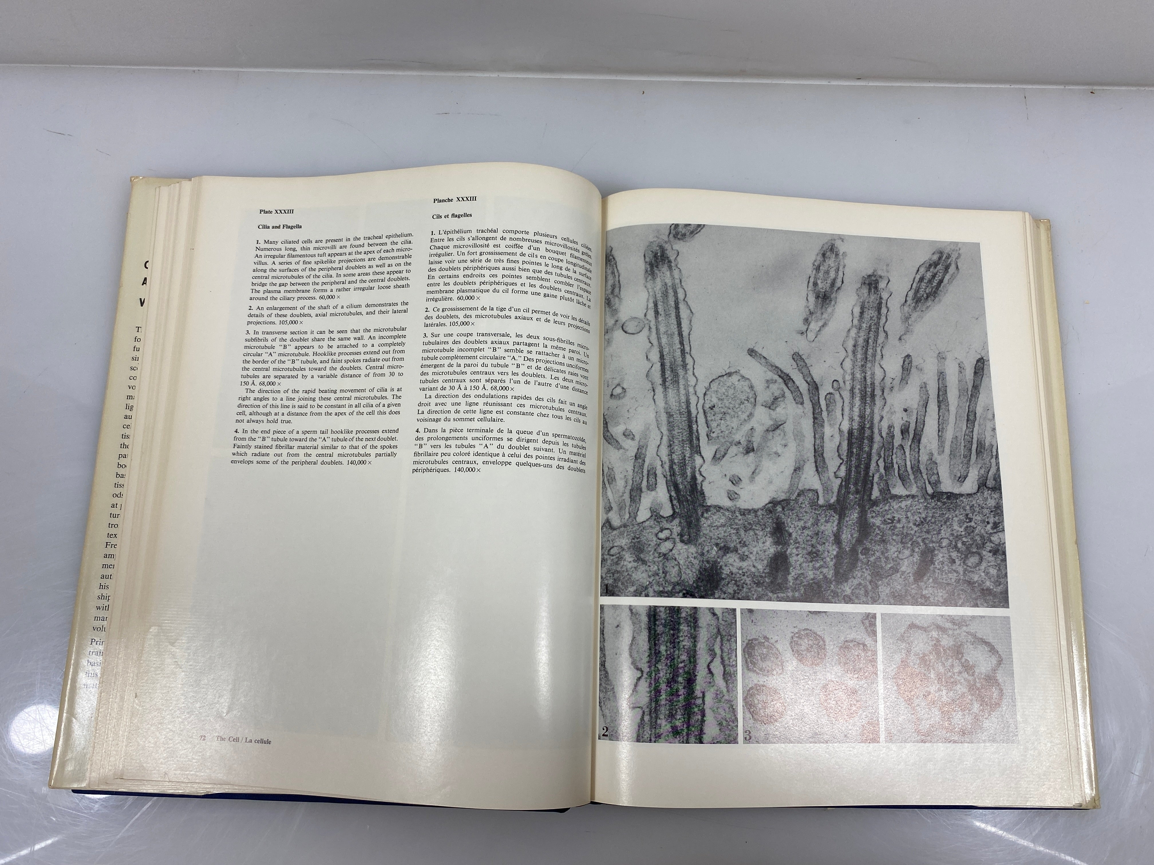 Lot of 2 Cells & Tissues by Light & Electron Microscopy 1-2 Ex-library 1970 HCDJ