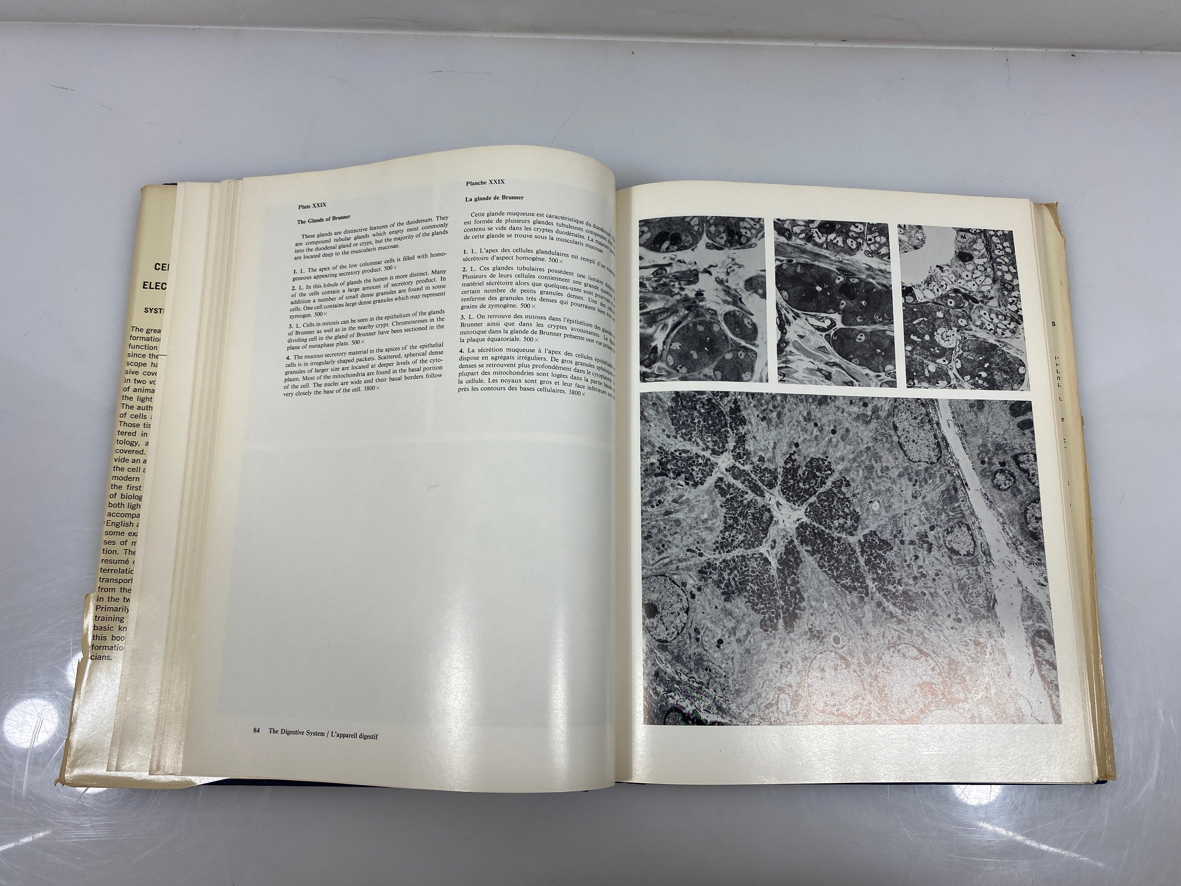Lot of 2 Cells & Tissues by Light & Electron Microscopy 1-2 Ex-library 1970 HCDJ