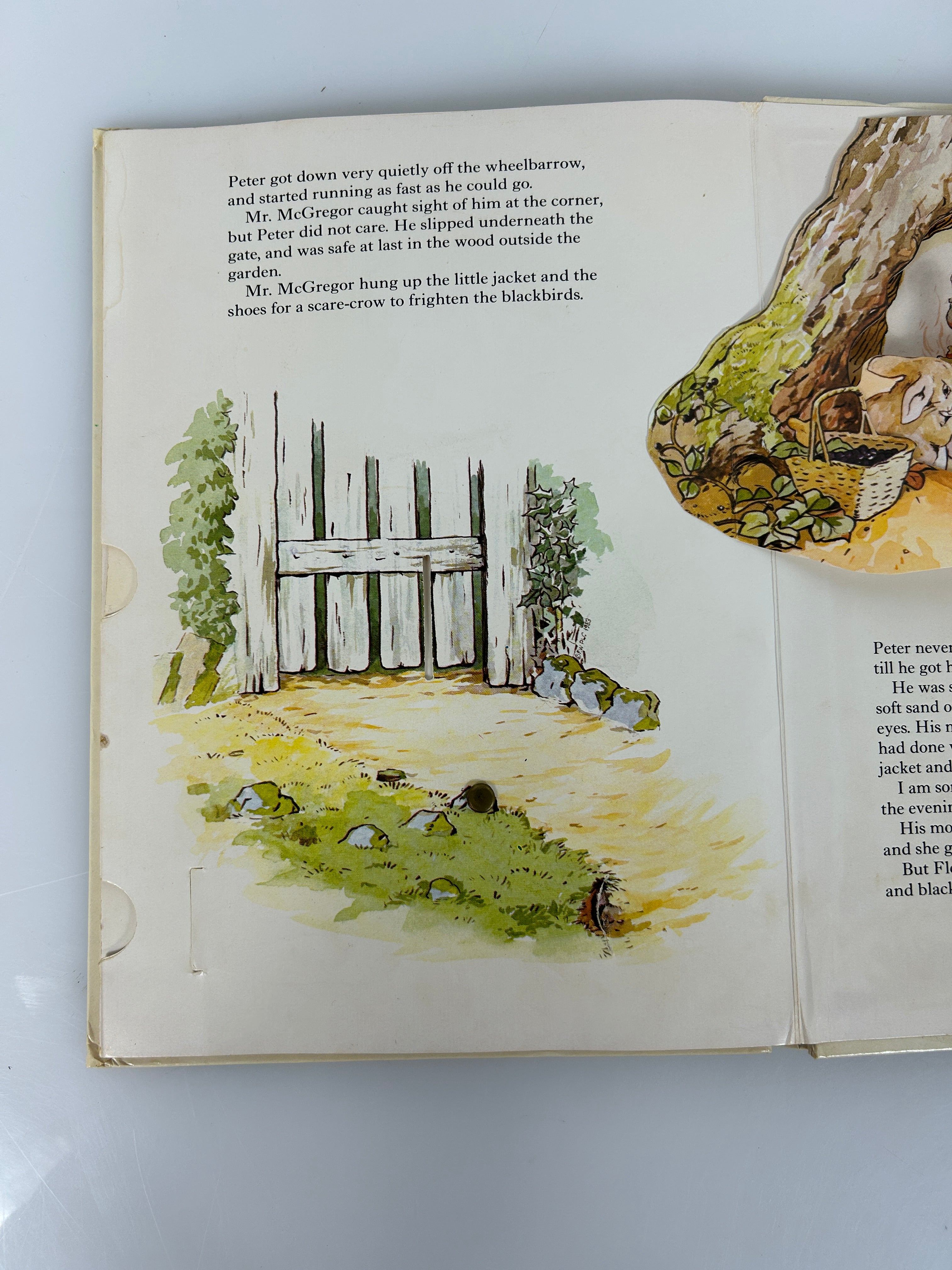 Lot of 2  Classic 1980s Pop-Up Books Winnie-the-Pooh & Peter Rabbit HC