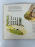 Lot of 2  Classic 1980s Pop-Up Books Winnie-the-Pooh & Peter Rabbit HC