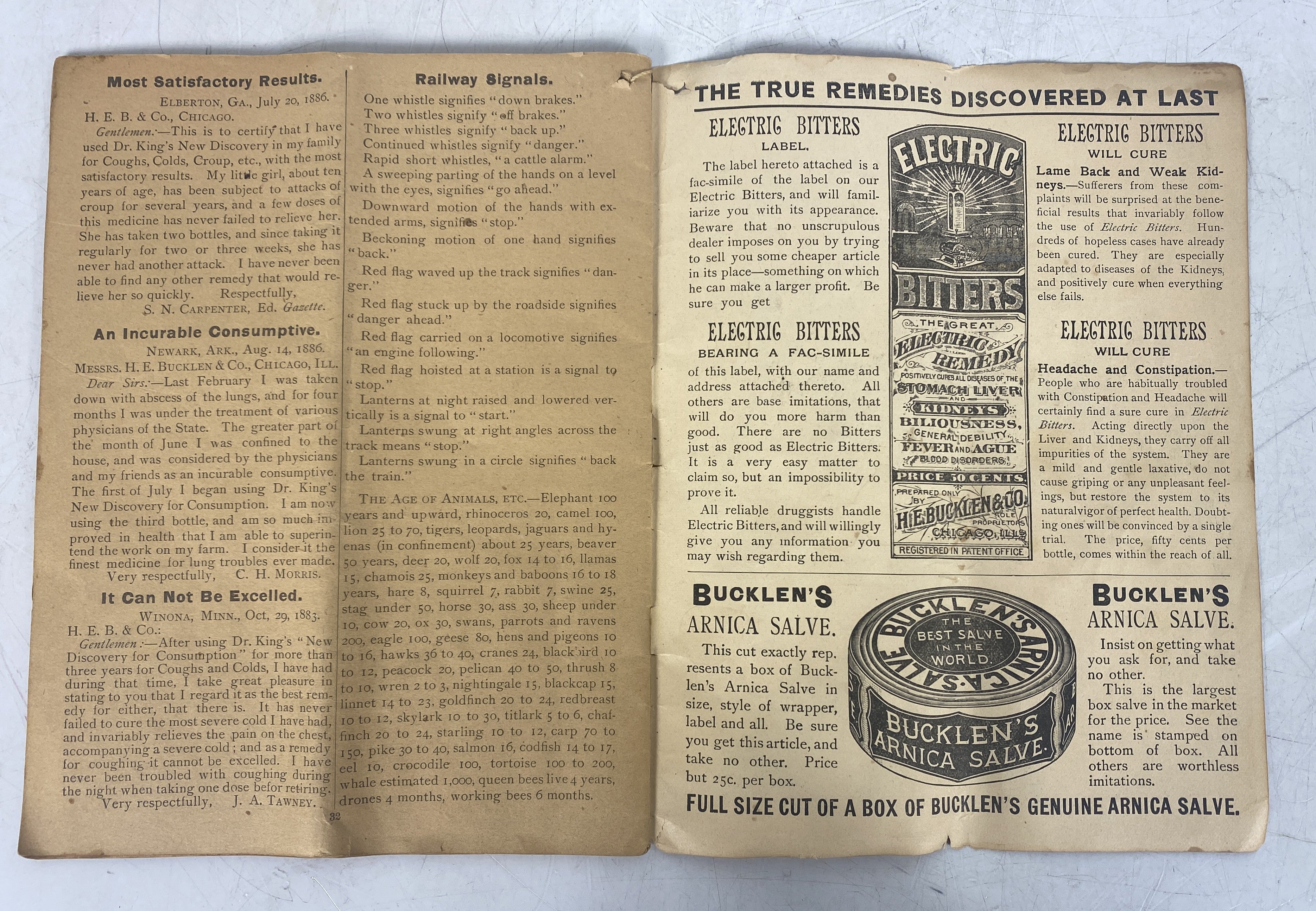Lot of 2 Dr. King's Guide to Health Vintage Magazine (Late 1800s)