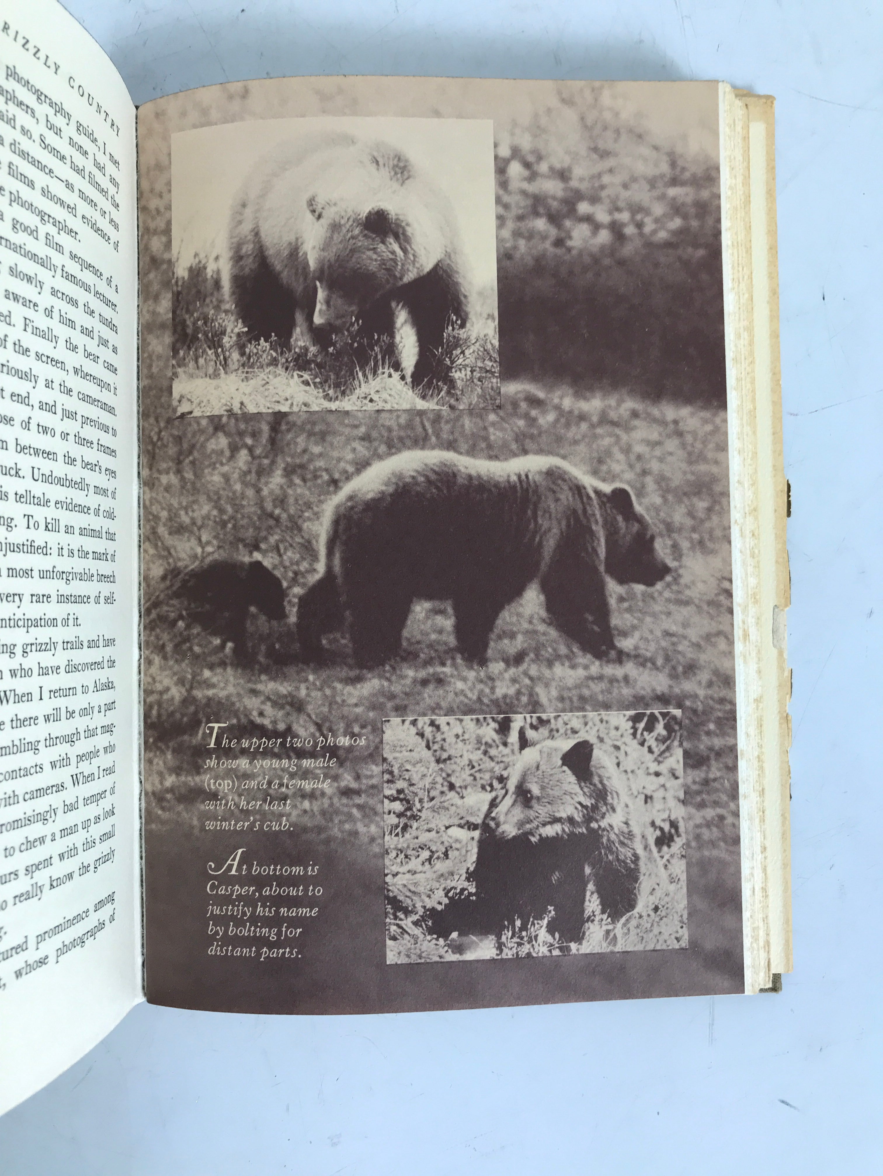 Lot of 2: Grizzly Country 1968/The Grizzly Bear 1966 1st HC DJ