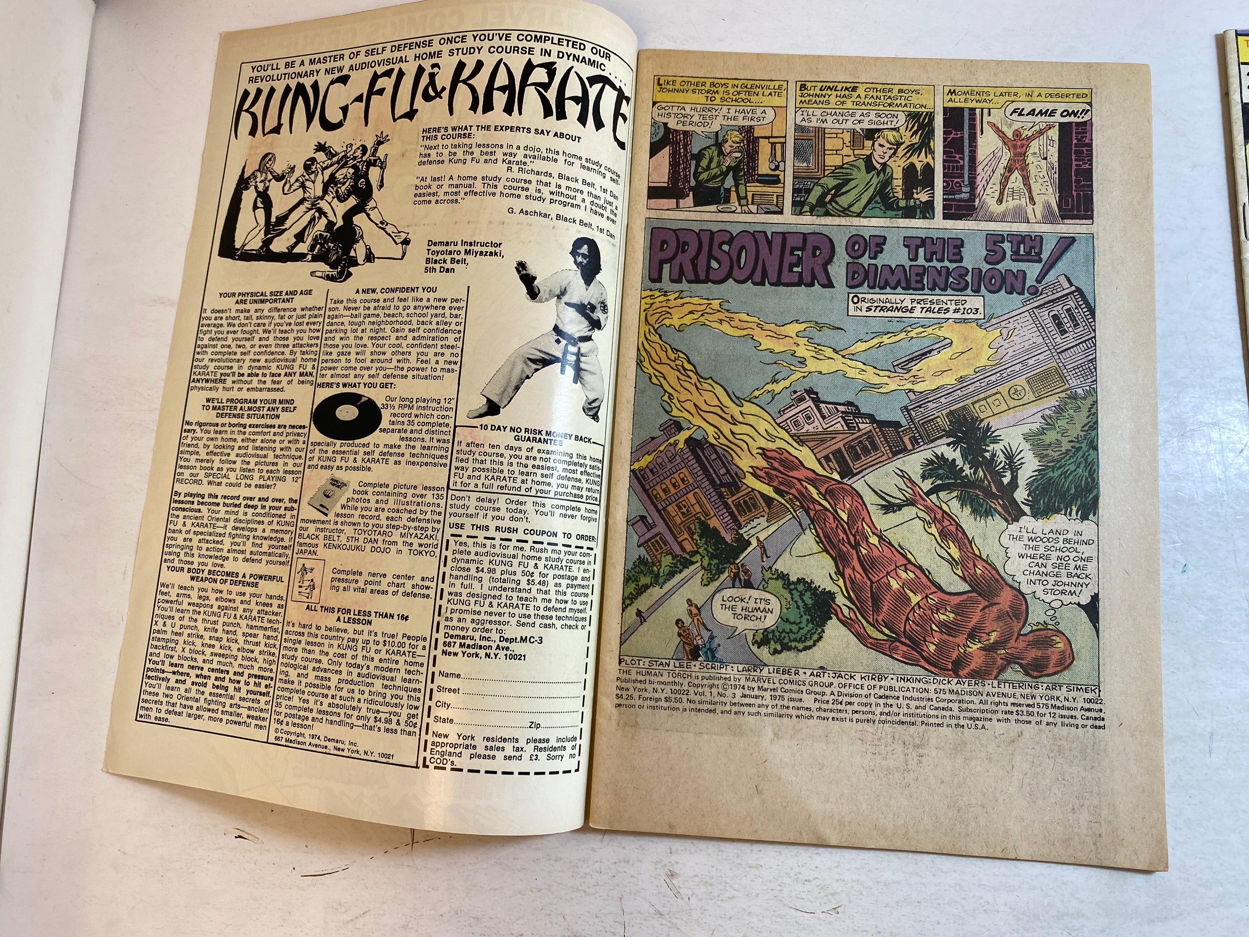 Lot of 2 Human Torch Marvel Comics 1975
